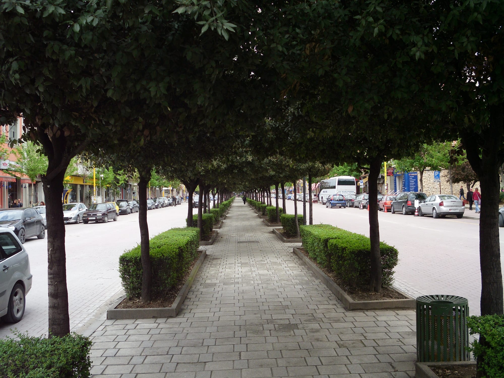 A tree-lined pedestrian walkway down the centre of a Tirana boulevard, with a person walking along it