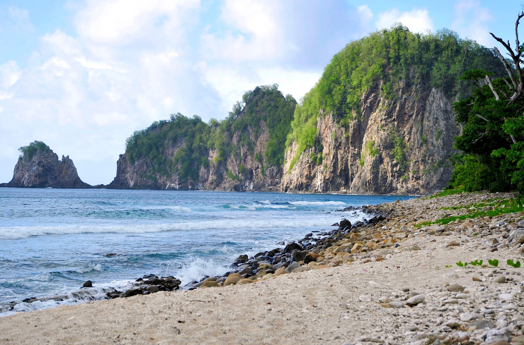 A jagged forested islet rising from the sea beyond a rocky shore