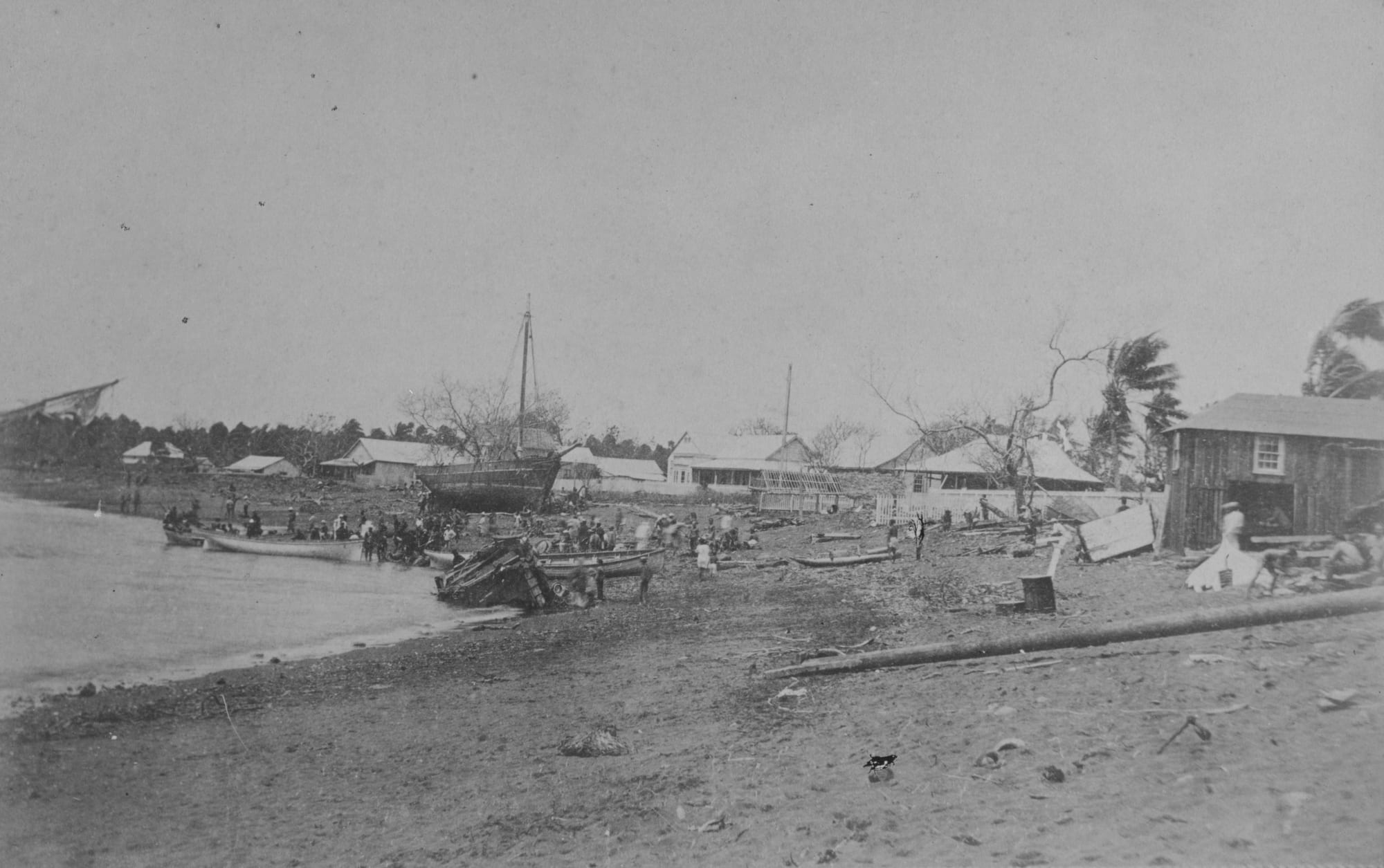 A 19th-century photograph of wrecked sailing warships listing on a reef near a palm-lined shore