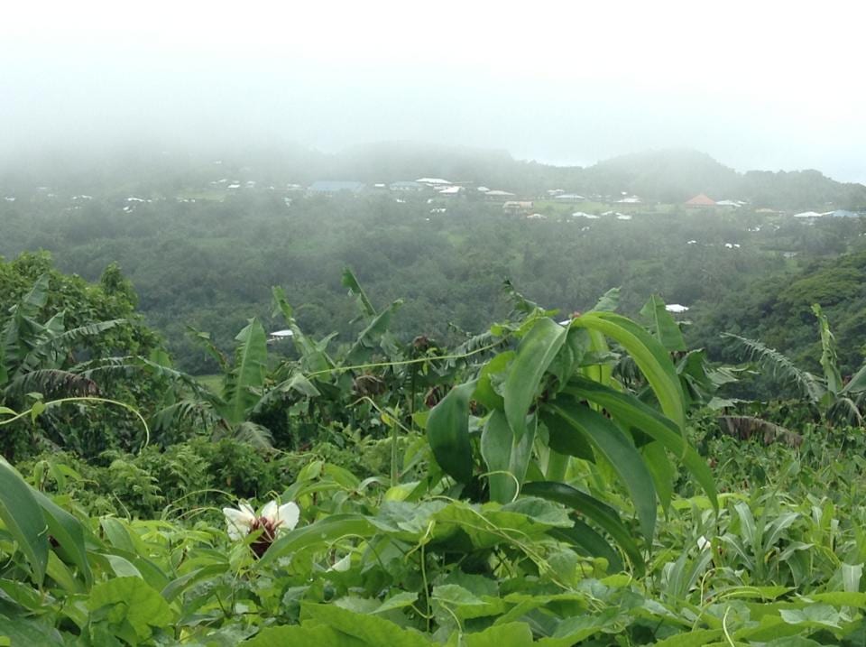 Houses in a village on a hillside in Aʻoloau, Tutuila, seen through low cloud and surrounded by tropical vegetation