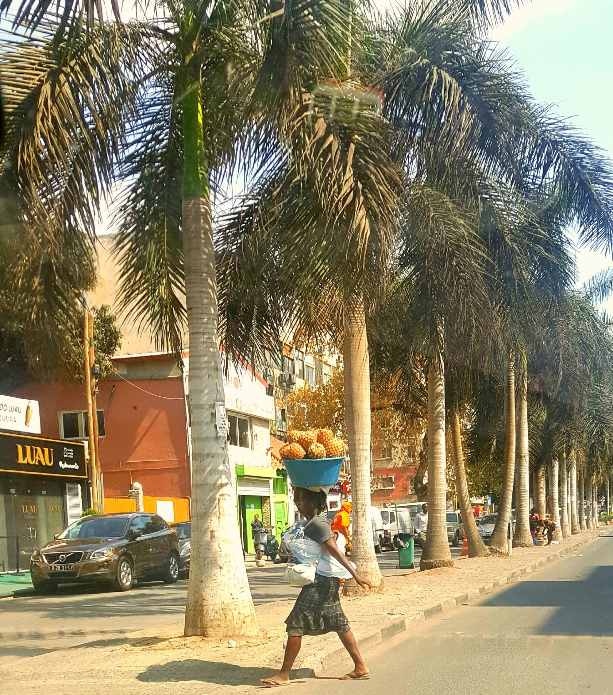 A woman balancing a large basin of pineapples on her head while walking down a palm-lined avenue in Luanda, shops and parked cars beside her