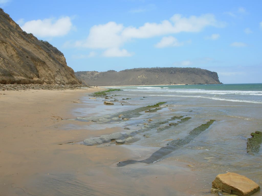A long sandy bay with a headland, low green scrub behind the beach
