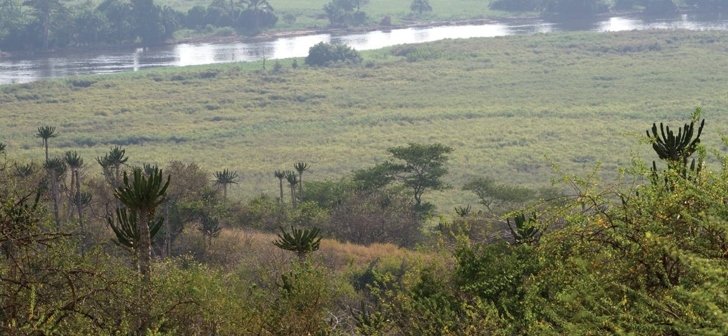Open grassland and scrub bordering a winding river, seen from a rise