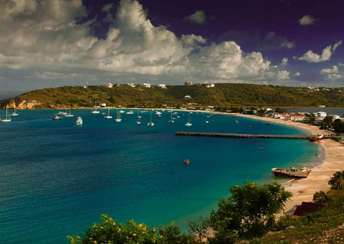 Boats moored in a calm harbour bay lined with low buildings and palm trees
