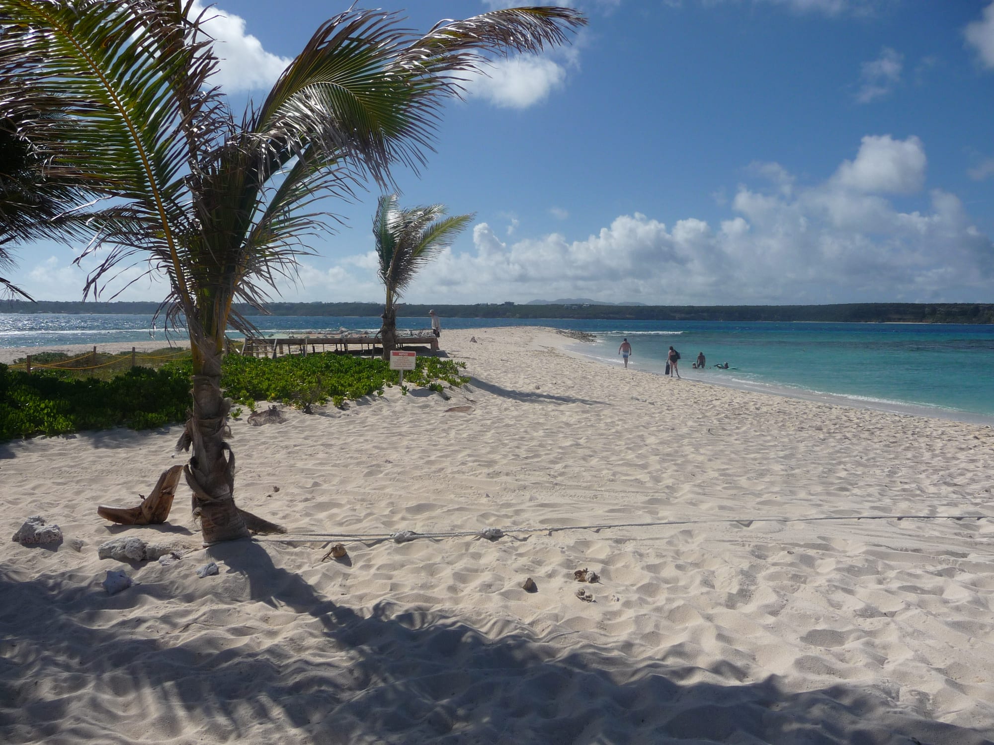 A tiny low island with a few palm trees and a beach bar, ringed by pale water and reef