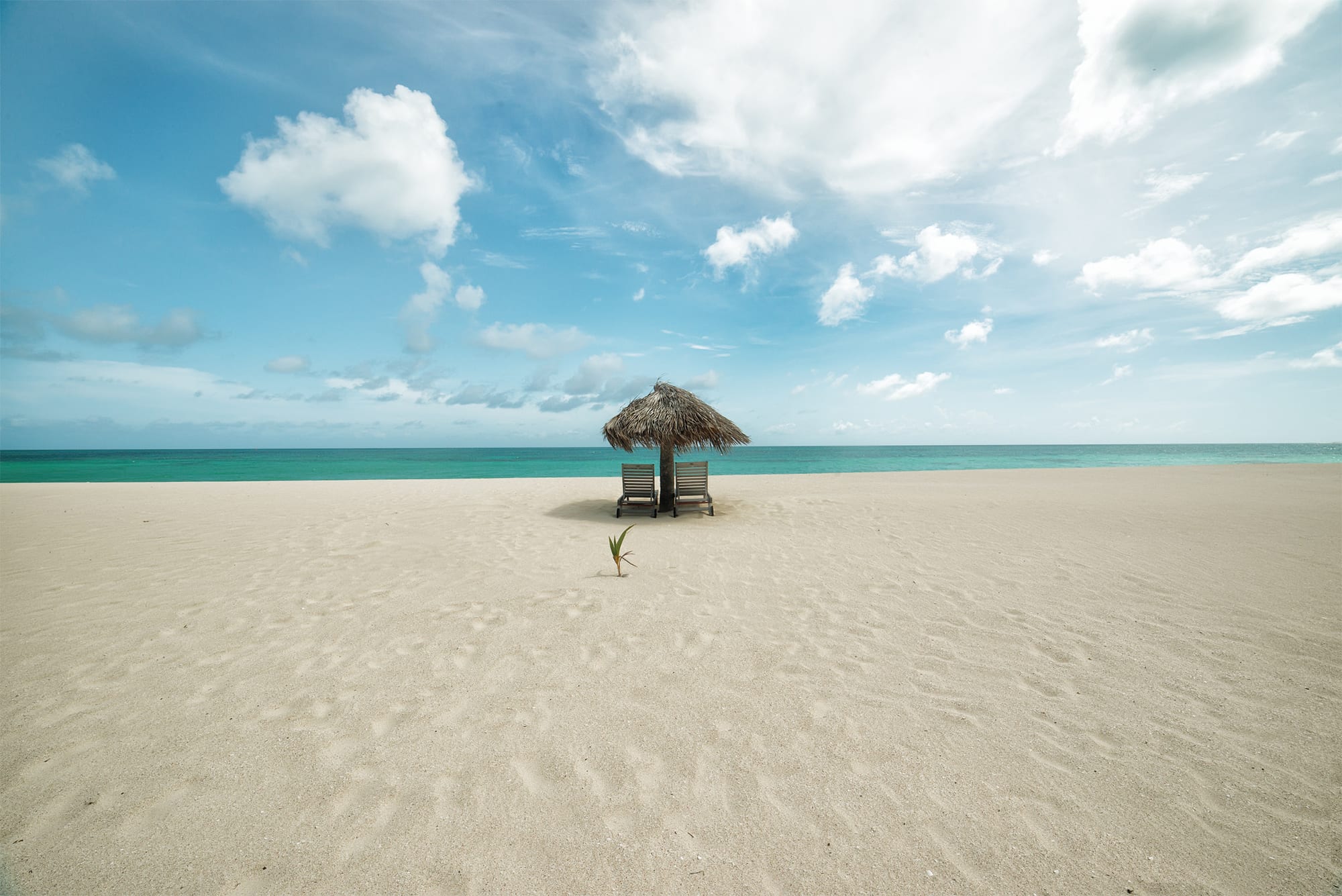 An enormous empty beach of pale pink-tinged sand under a bright sky