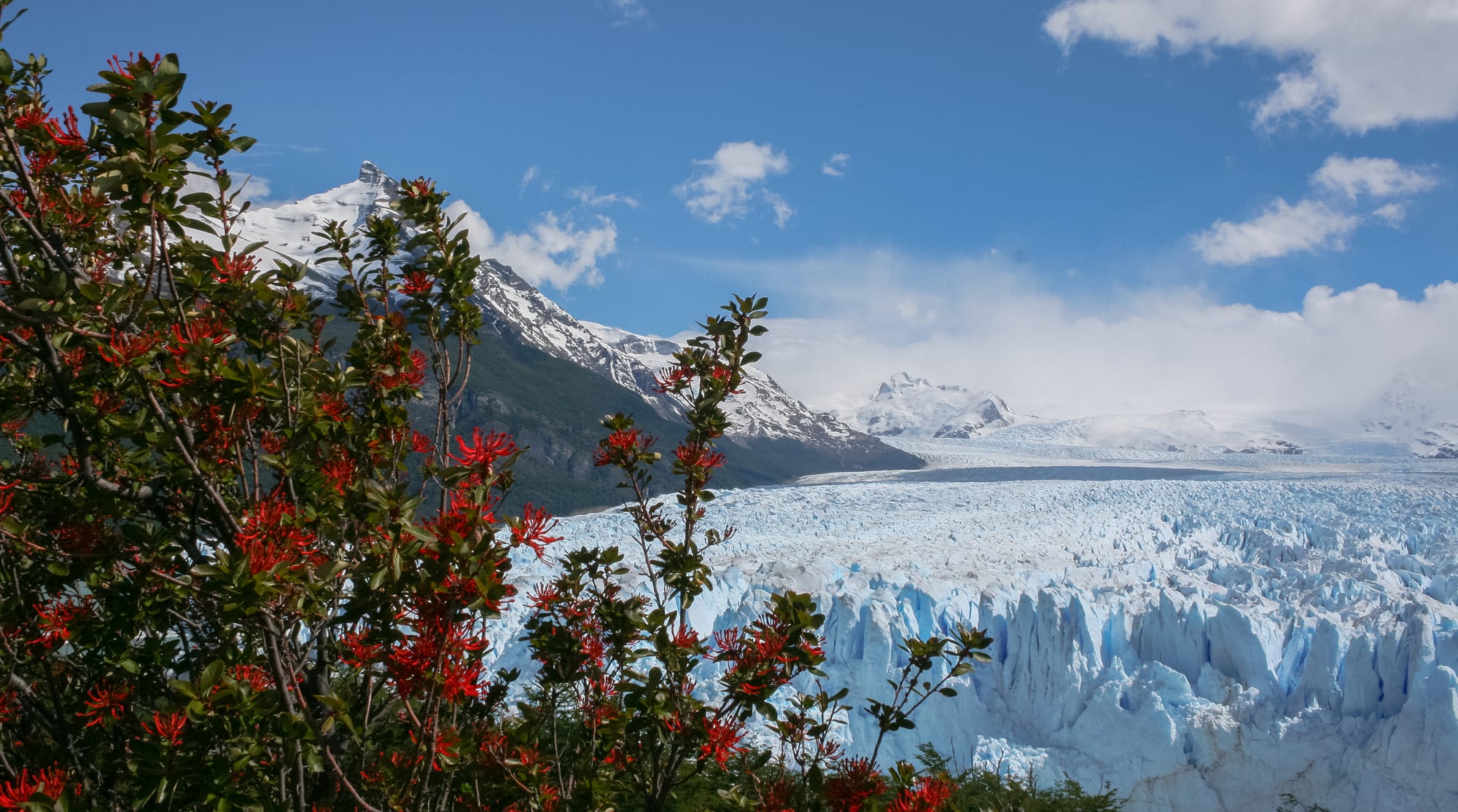 A jagged wall of blue-white glacier ice meeting a grey lake, mountains behind