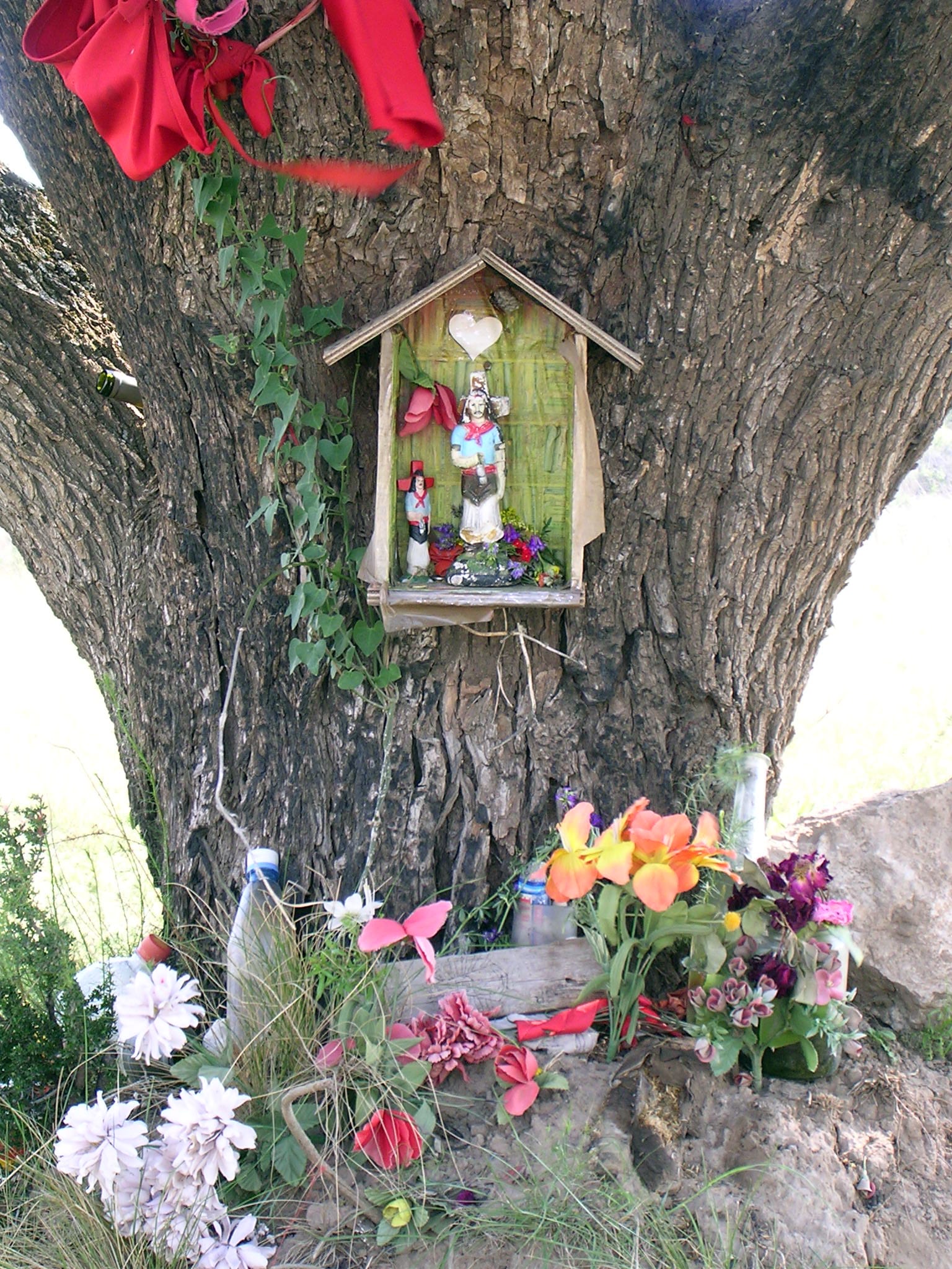 A small wooden house-shaped shrine fixed to a large tree trunk, holding figurines, with red cloth tied above and plastic flowers and bottles on the ground below