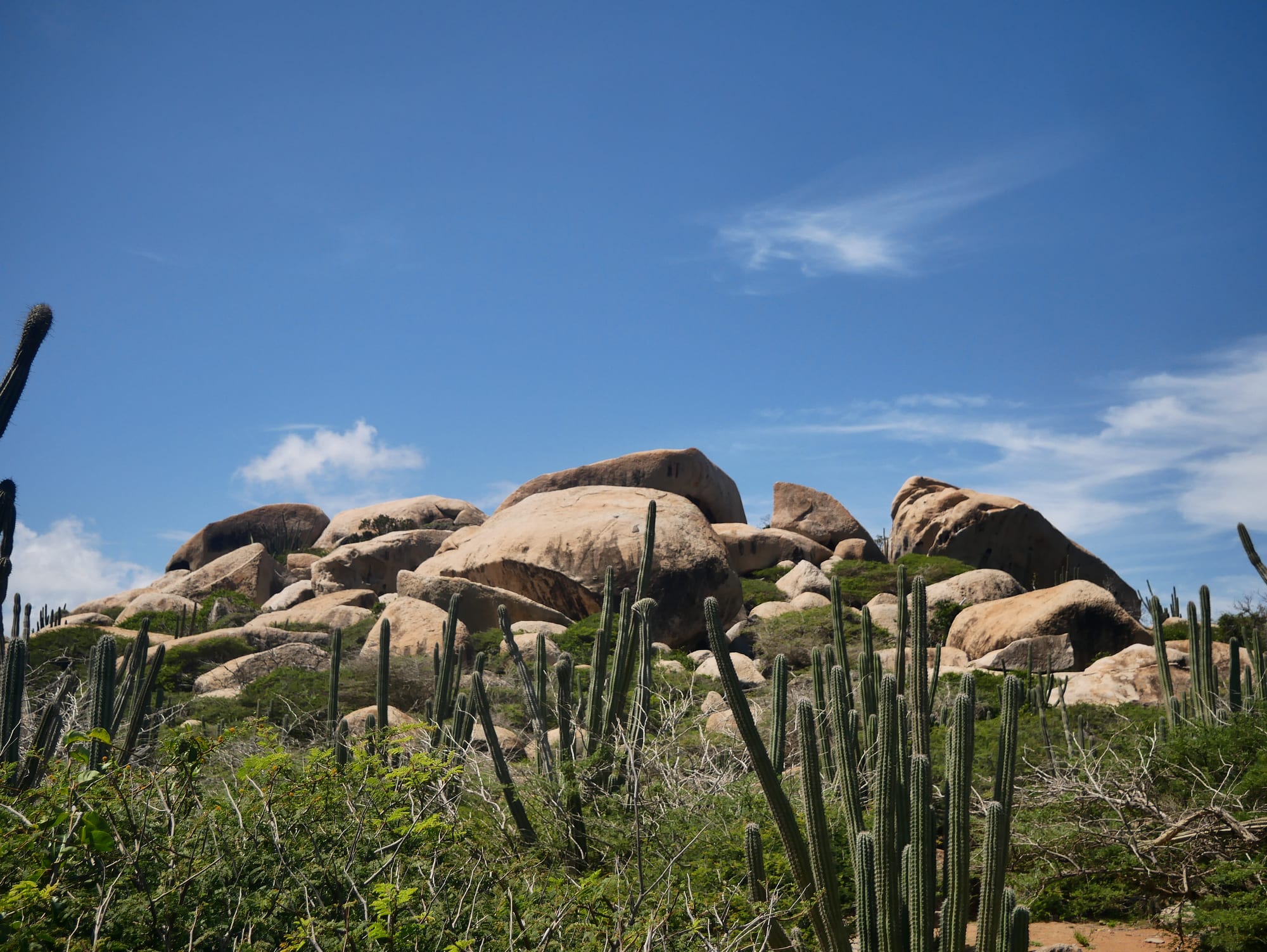 Huge rounded reddish boulders stacked on a dry plain dotted with cactus under a blue sky