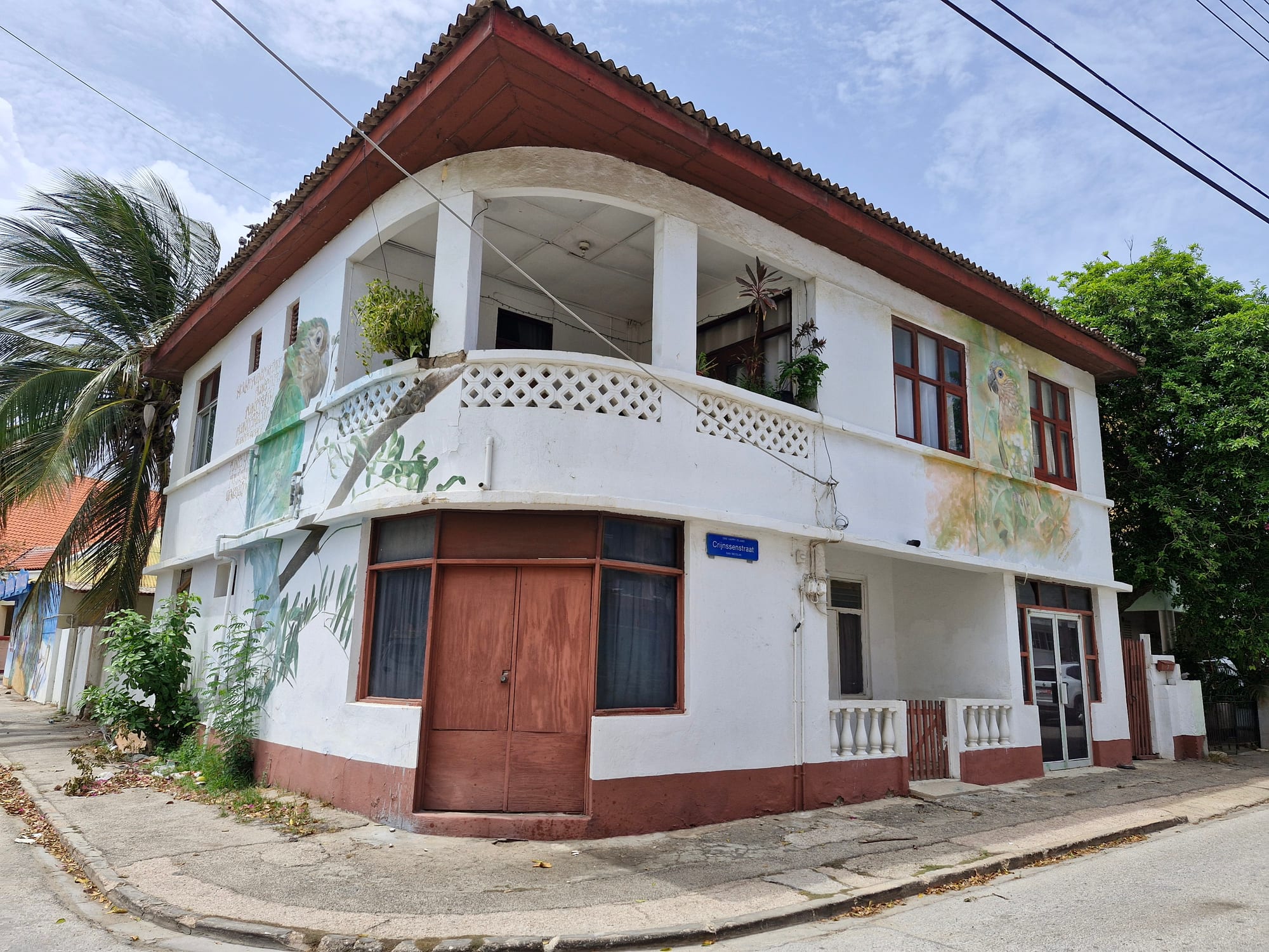 A white two-storey house on a street corner with large painted parrot murals covering its walls and a palm tree beside it