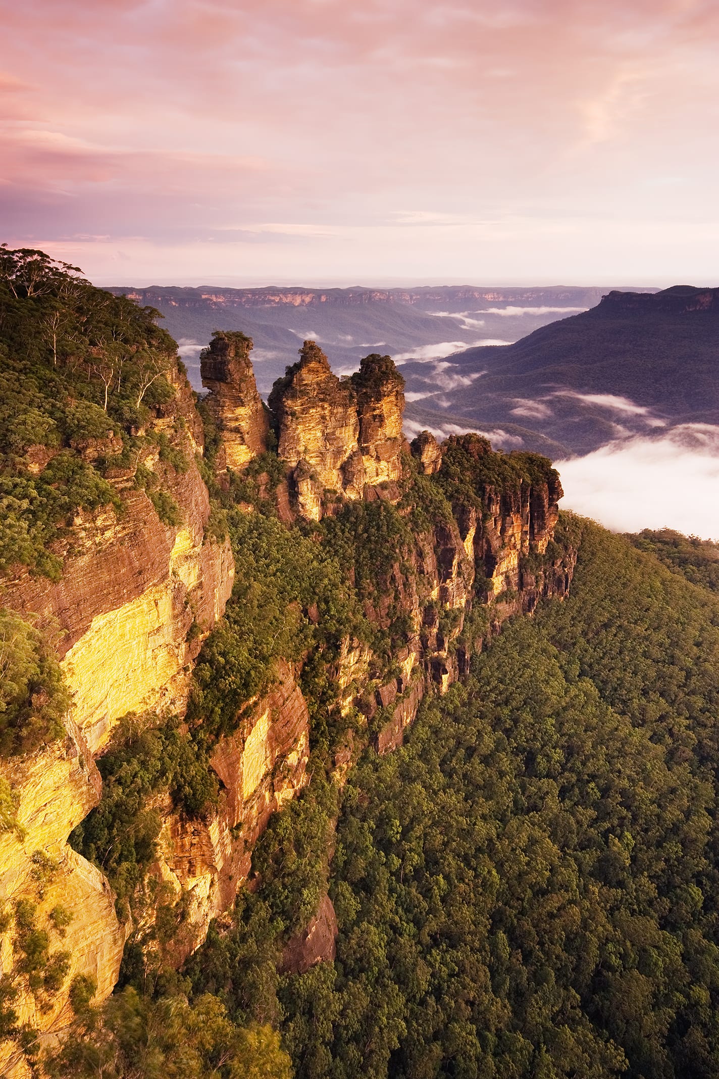 Three weathered sandstone pinnacles on the edge of a forested canyon at sunset