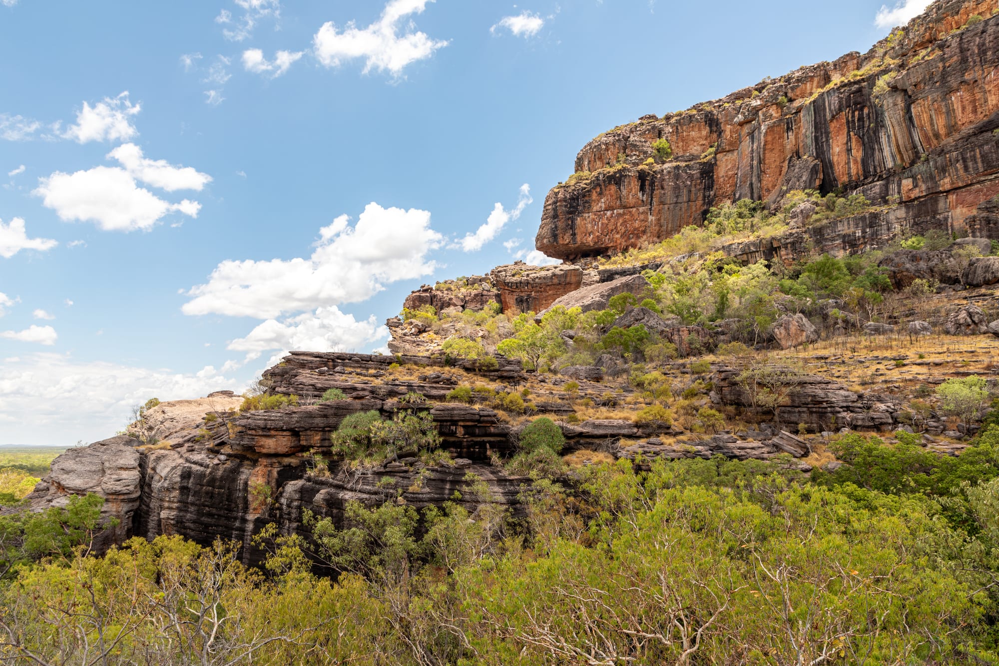 A sandstone escarpment rising above a green floodplain under a wide sky