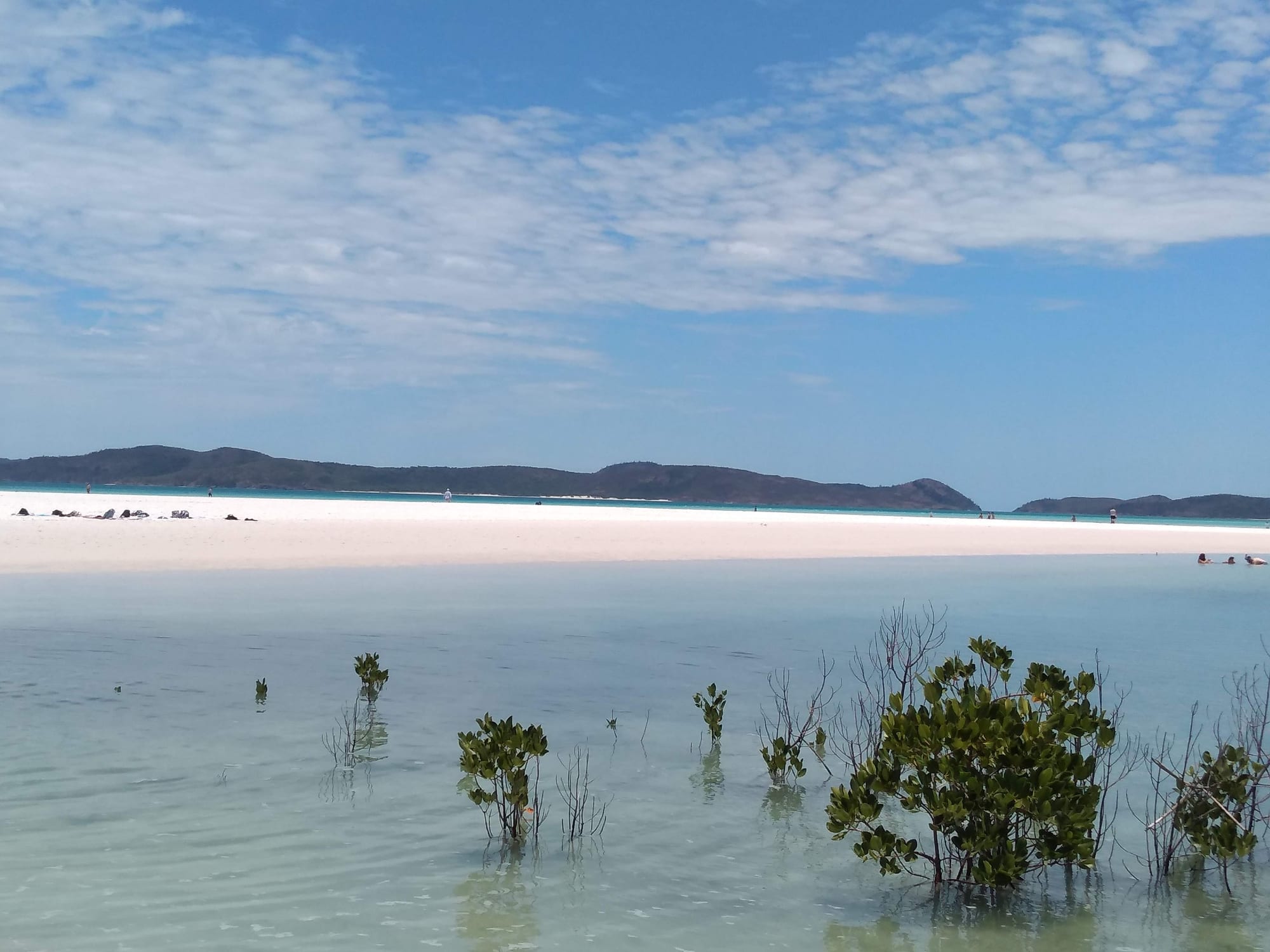 Swirls of brilliant white sand and turquoise shallows around a green island