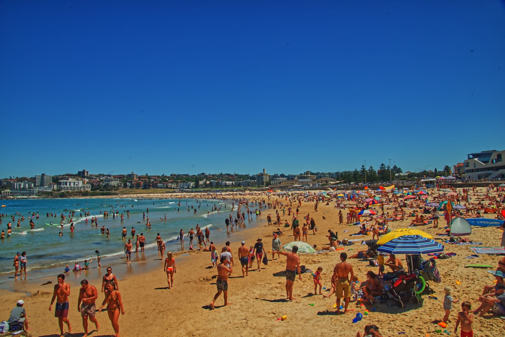 A packed Bondi Beach on a sunny day, with hundreds of people swimming, sunbathing and playing on the sand, city buildings visible along the shore