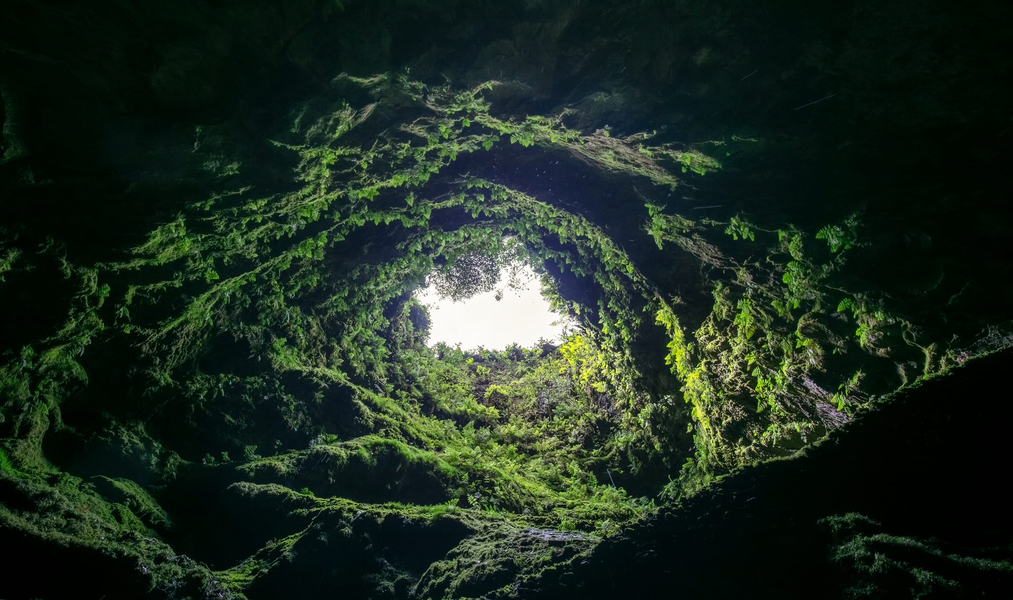 Daylight falling through a hole in the roof of a huge mossy volcanic cavern