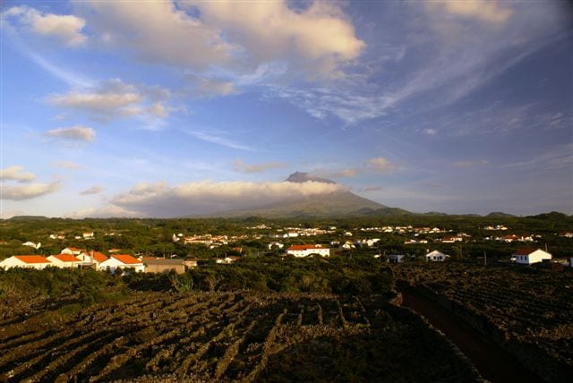 Small vineyard plots enclosed by low black stone walls, with Pico's volcanic cone rising behind under clouds