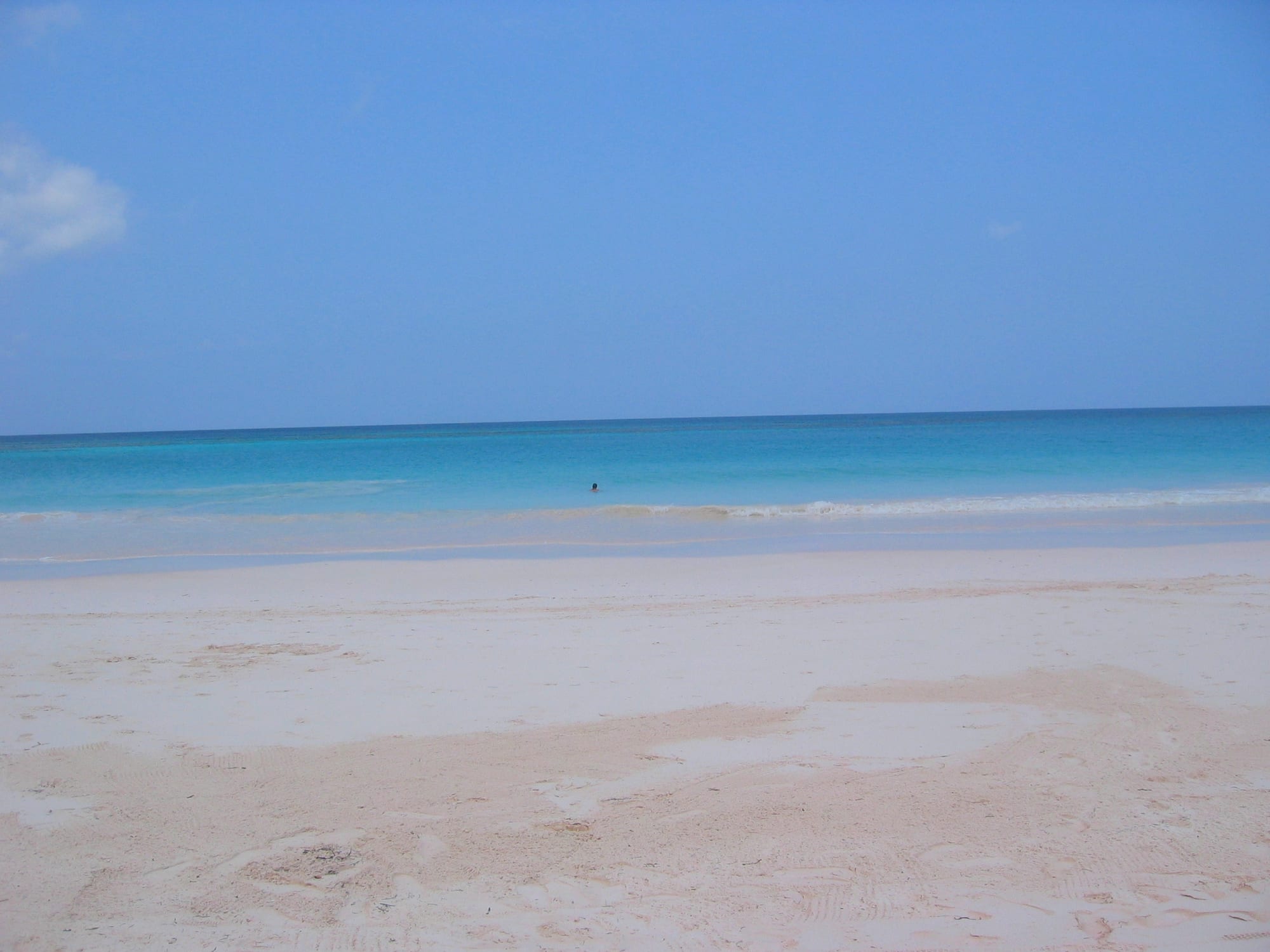Pale rose-coloured sand and calm turquoise water, low dunes with sea grape behind