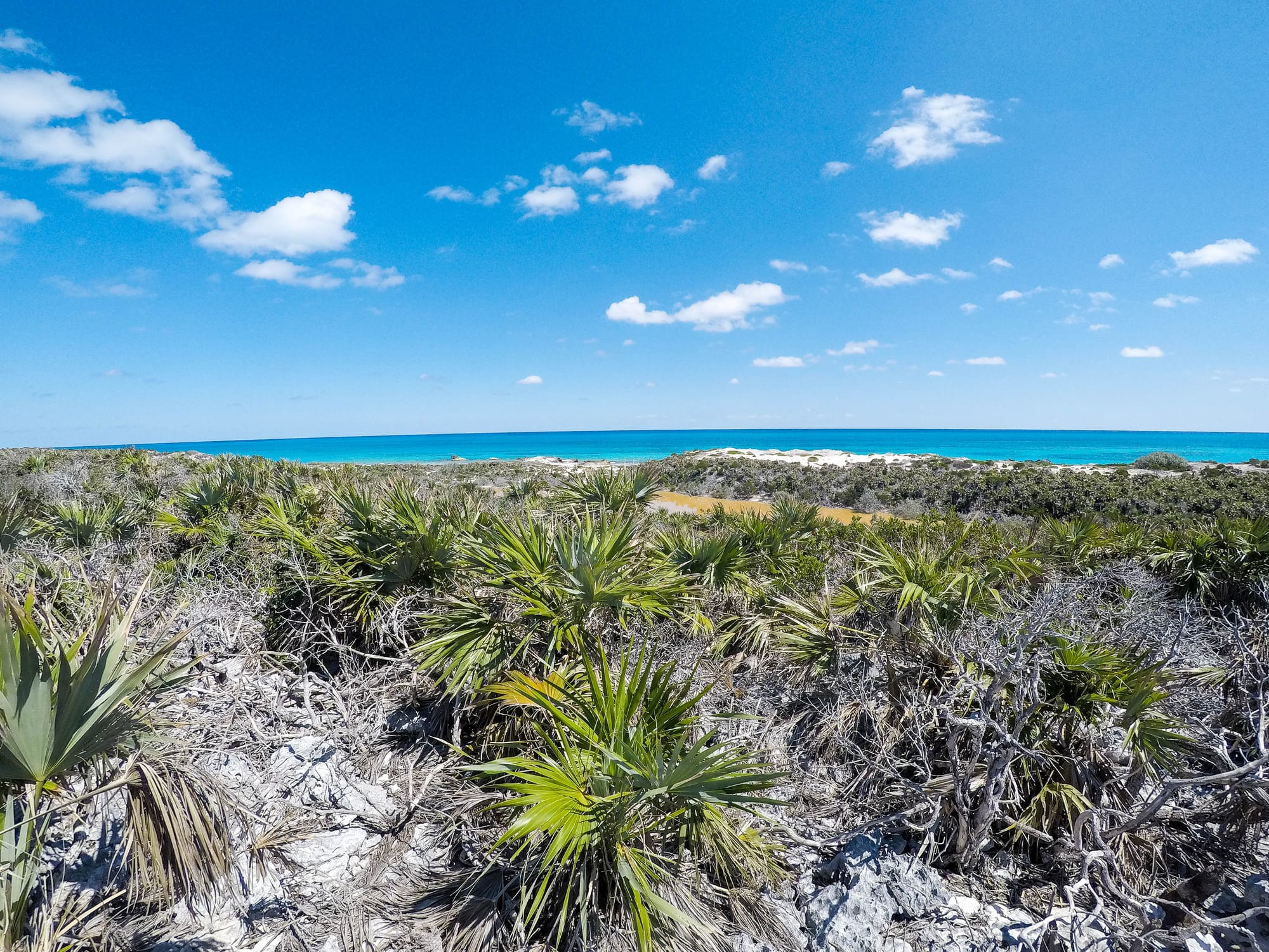 A chain of low green cays scattered across brilliant turquoise and deep-blue water