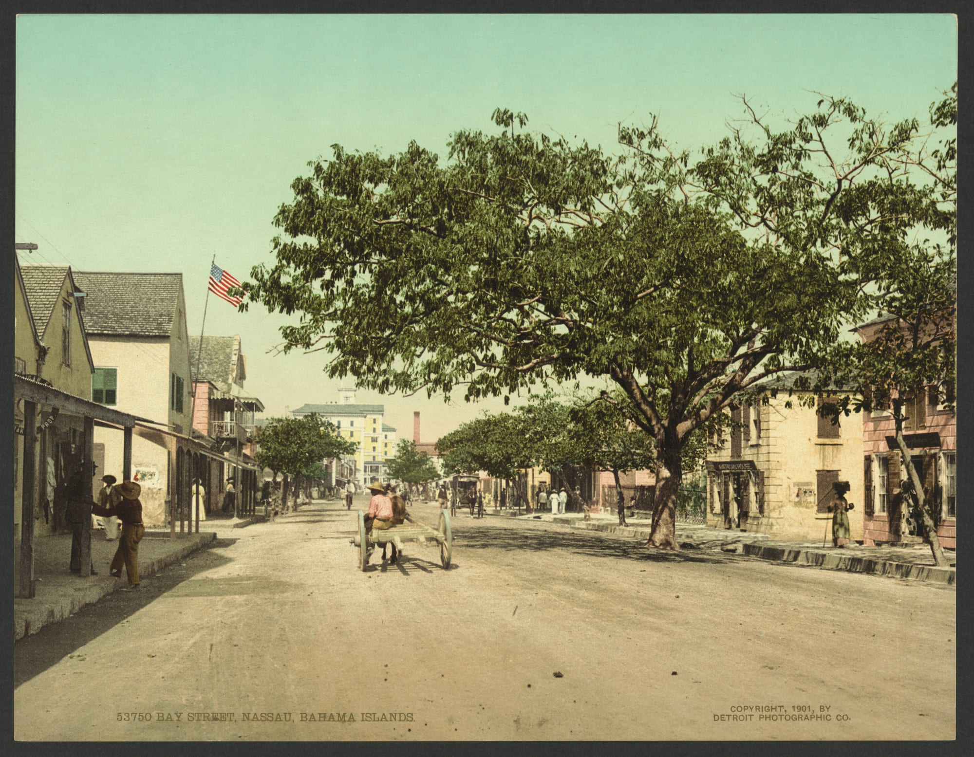 A colour-tinted 1901 view down a wide unpaved street of low shops and shuttered houses shaded by a large tree, with a mule cart and a few pedestrians