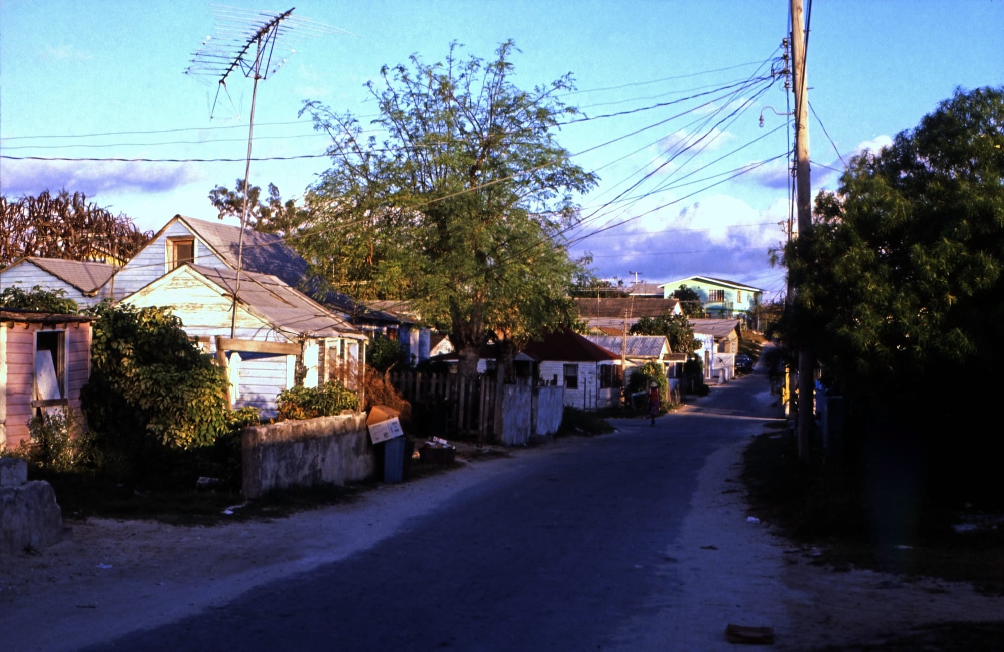 A quiet lane of small pastel clapboard cottages with white picket fences under palms