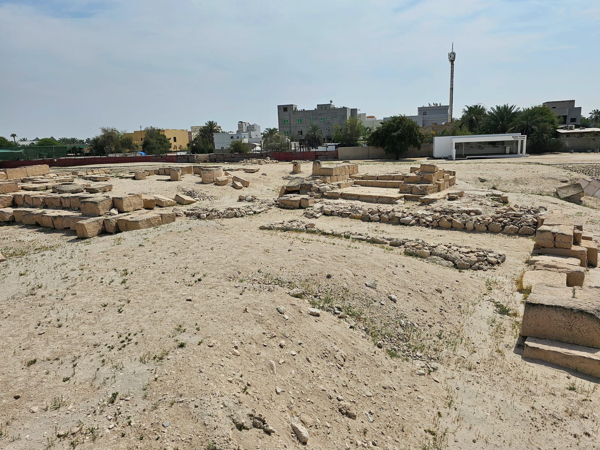Excavated low stone walls and a stepped platform of a prehistoric temple among palms