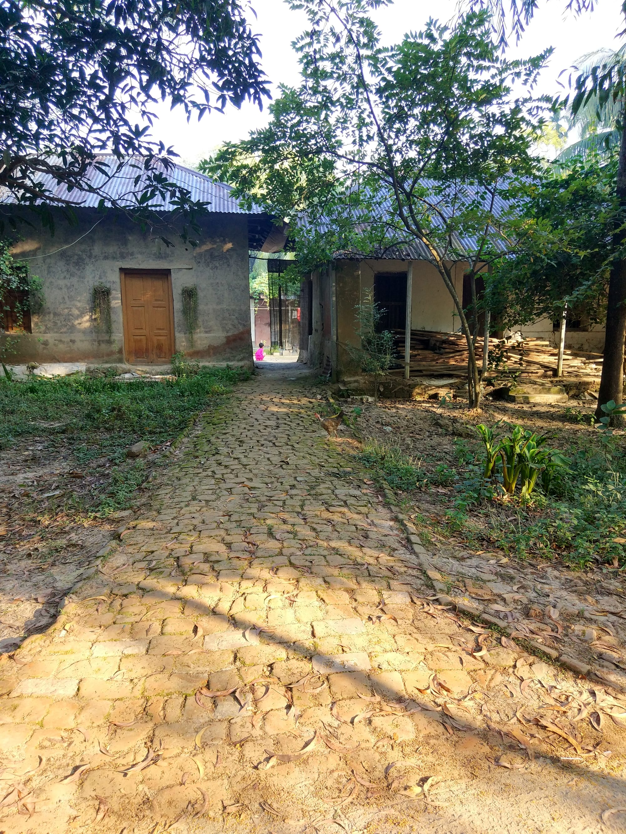 A rural homestead with a corrugated-roof house, a brick courtyard path and trees, photographed in soft morning light