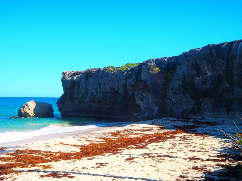 A calm sheltered beach of pale sand with clear flat water and palms