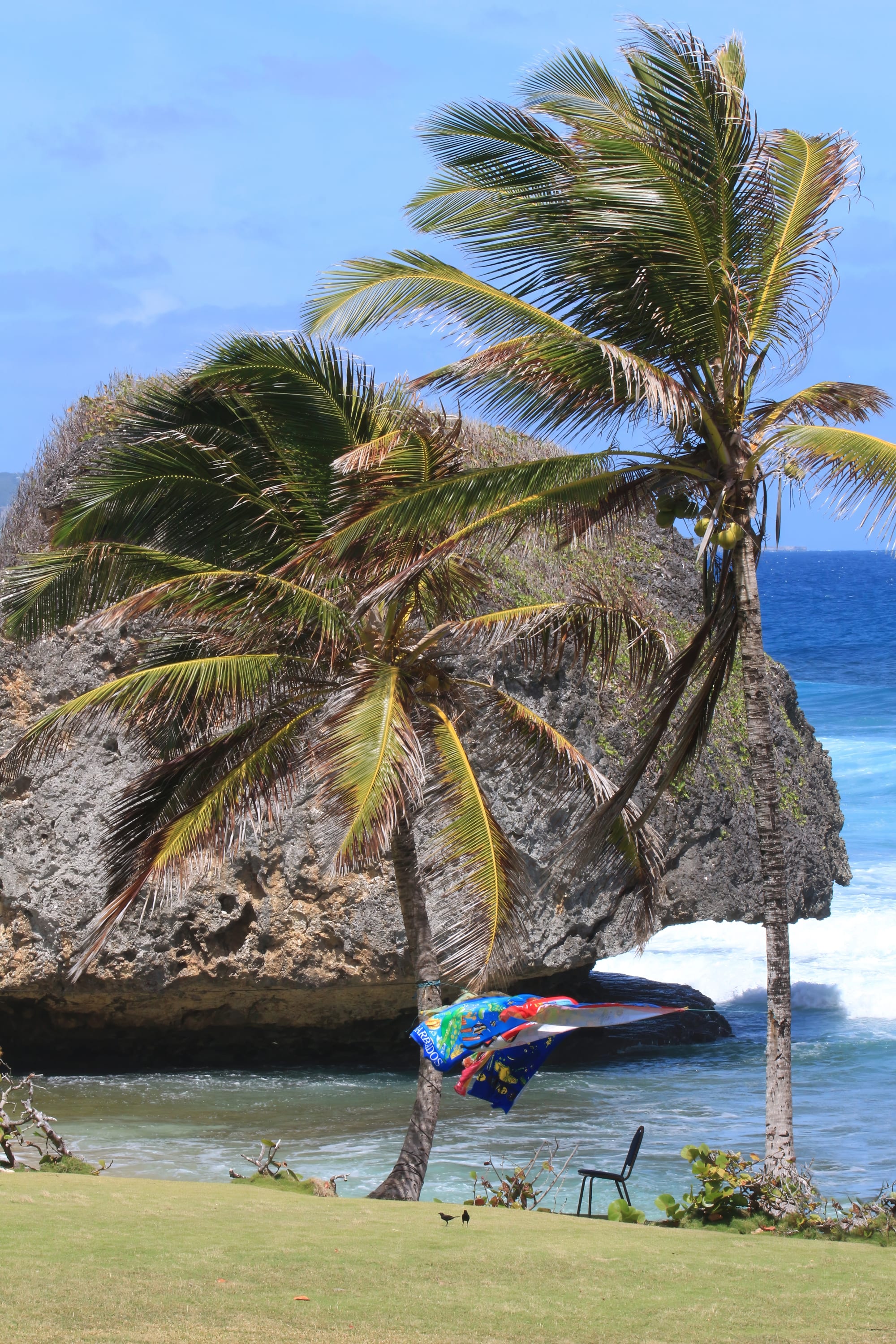 Large rounded boulders standing in the surf off a palm-lined beach