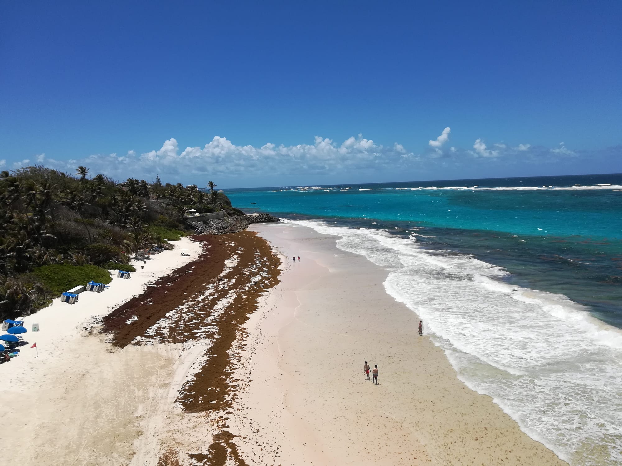 A pink-tinged beach below low cliffs, with rolling surf and a headland