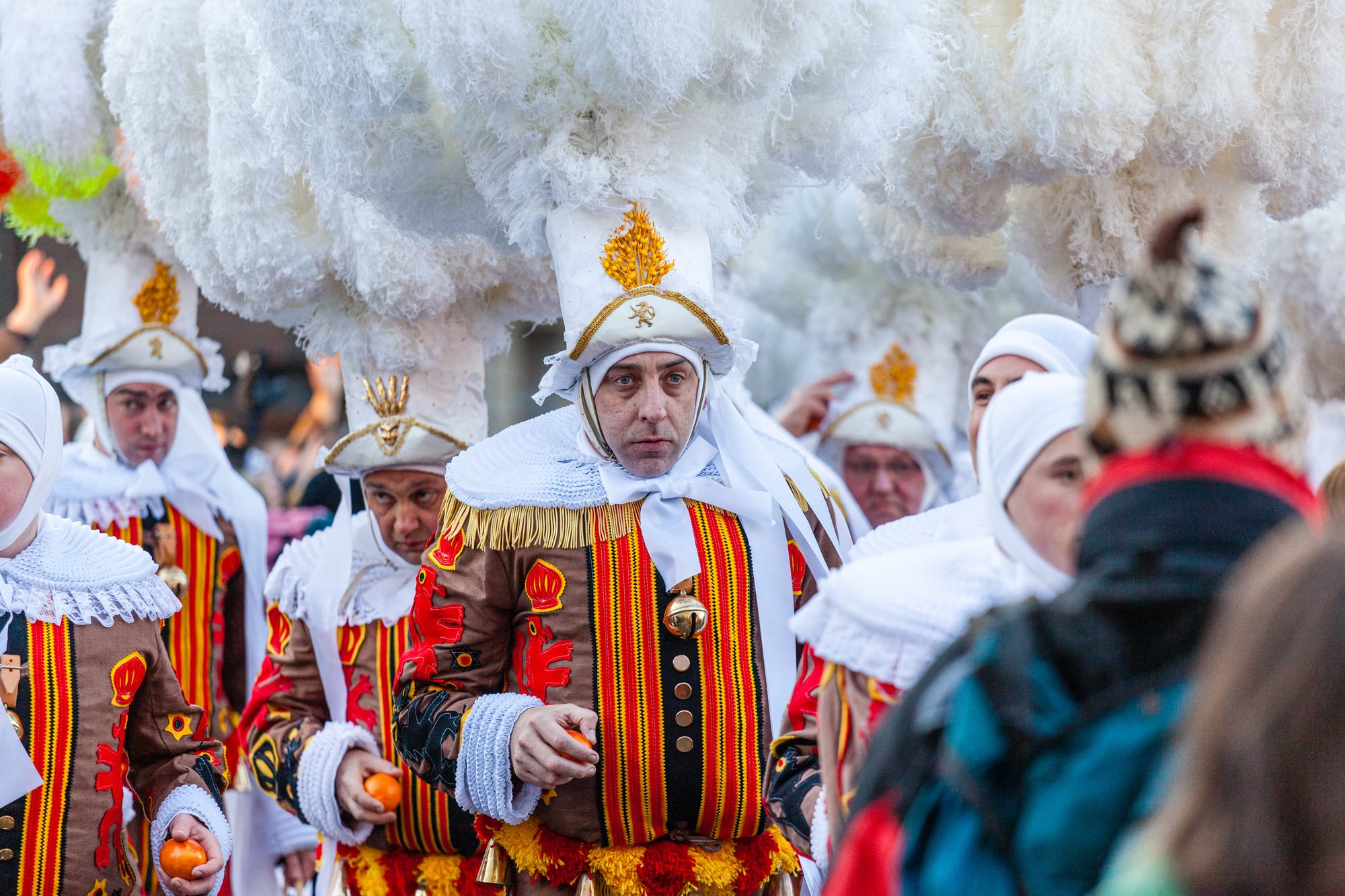Gilles in red, yellow and black costumes with lace collars and towering white ostrich-feather hats walk in a crowd, several holding oranges