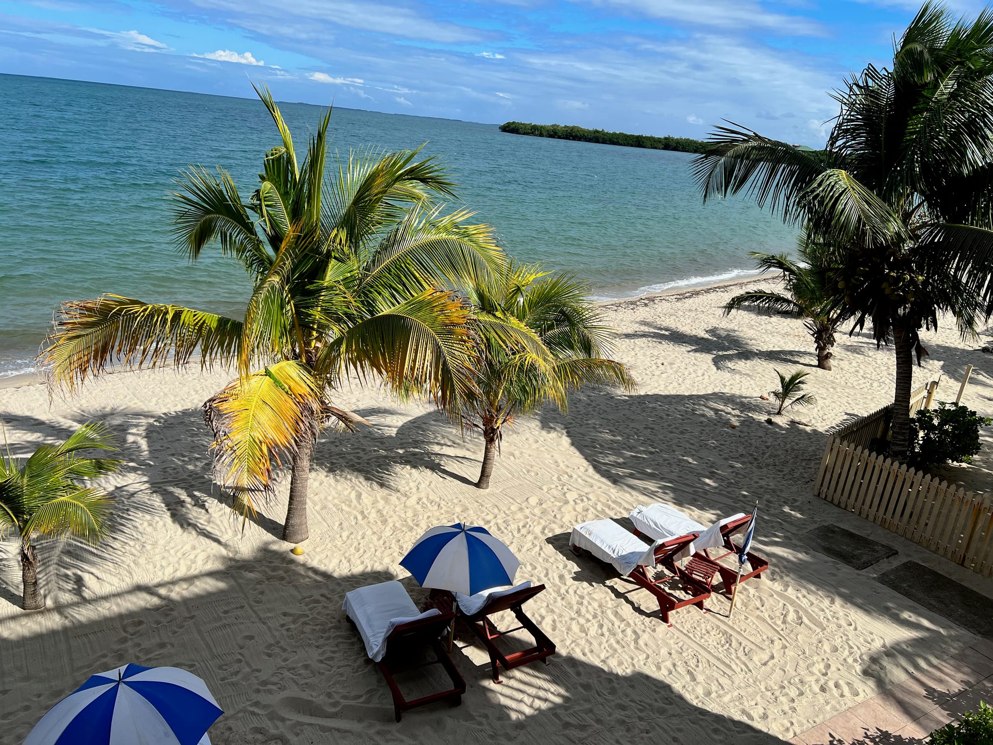 A calm palm-lined Caribbean beach with a wooden dock reaching into flat water