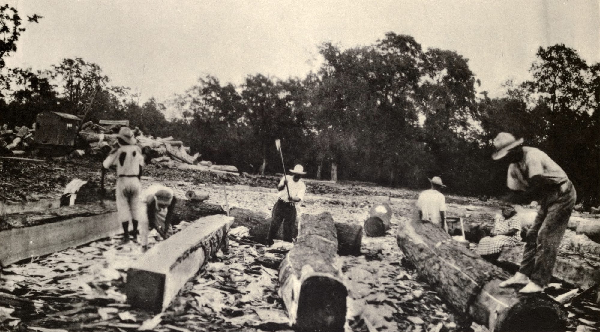 A black-and-white photograph of men in hats squaring huge felled logs with axes in a forest clearing strewn with wood chips