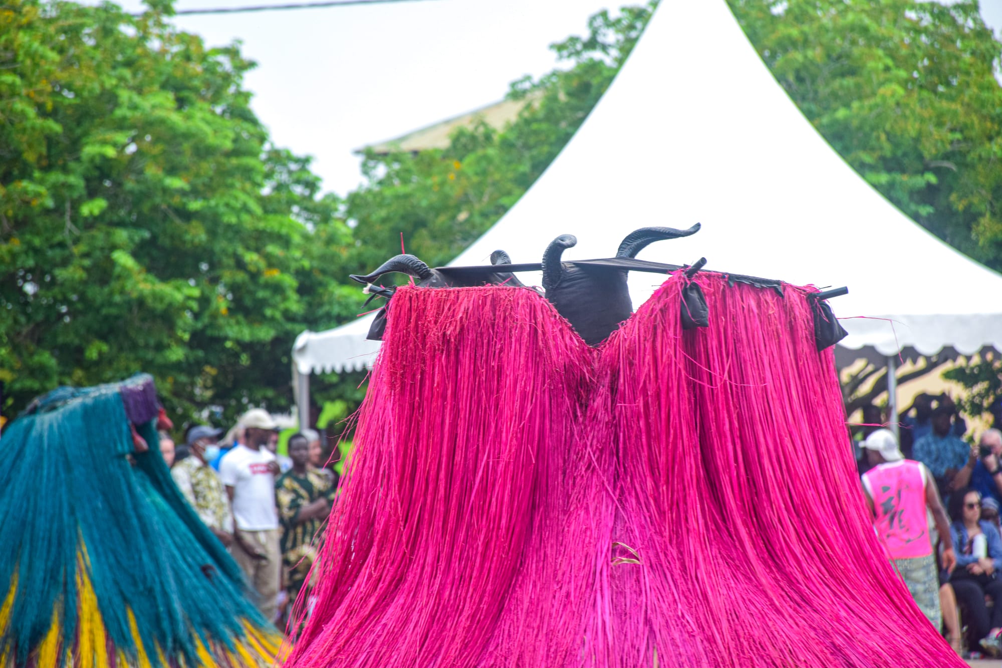 Two tall masquerade figures covered from top to bottom in thick strands of dyed raffia, one bright pink topped with black horns and one teal and yellow, moving past a crowd and a white marquee
