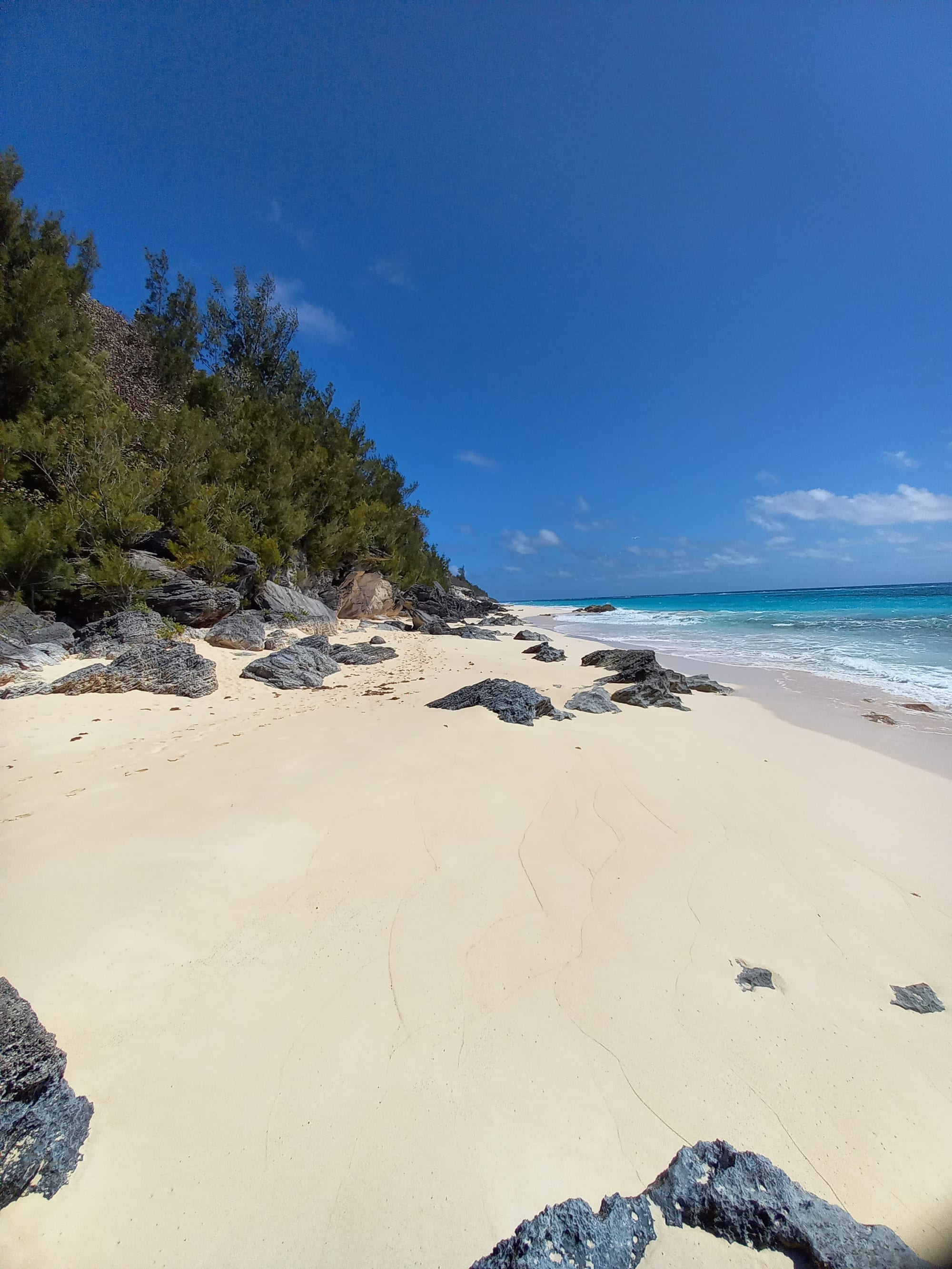 A quiet stretch of pale sand between dark rock outcrops on Bermuda's south shore, meeting bright turquoise water under a blue sky