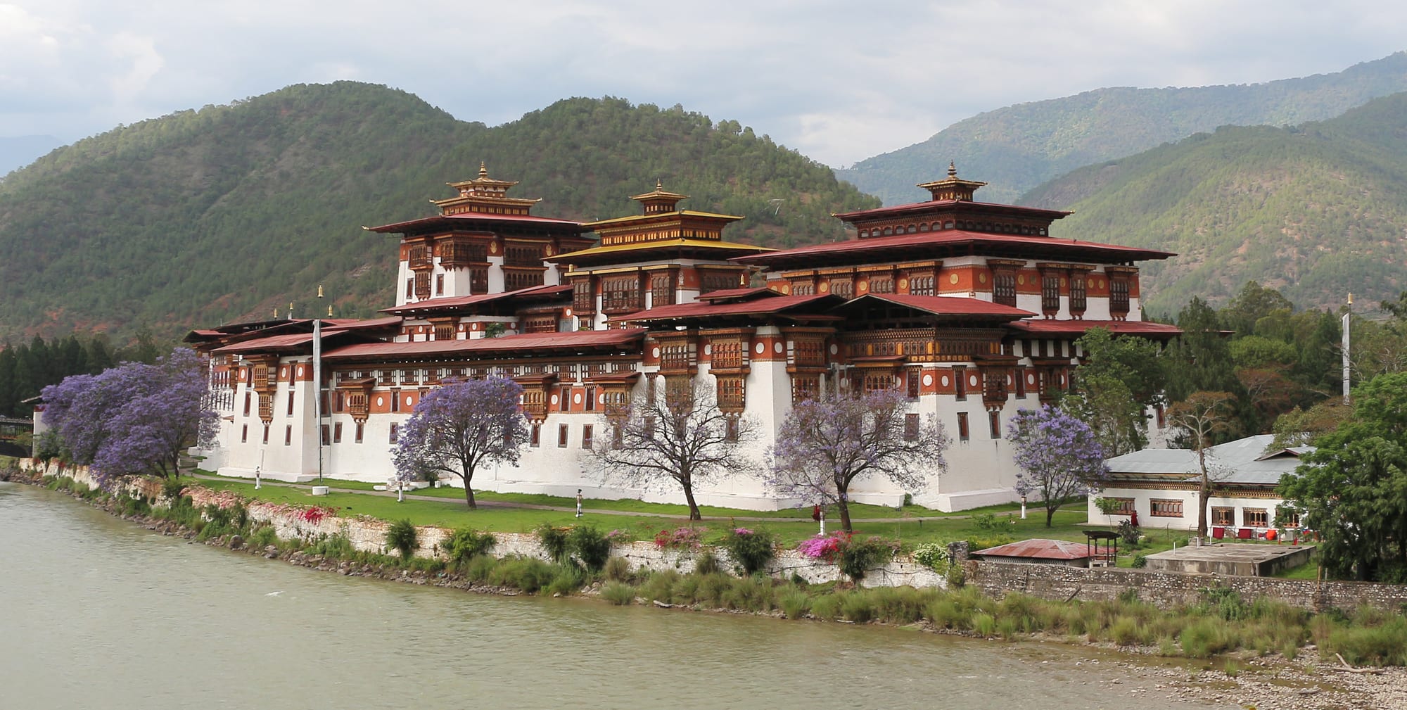 A massive whitewashed fortress with tapering walls and a central tower, between two rivers, jacarandas in bloom