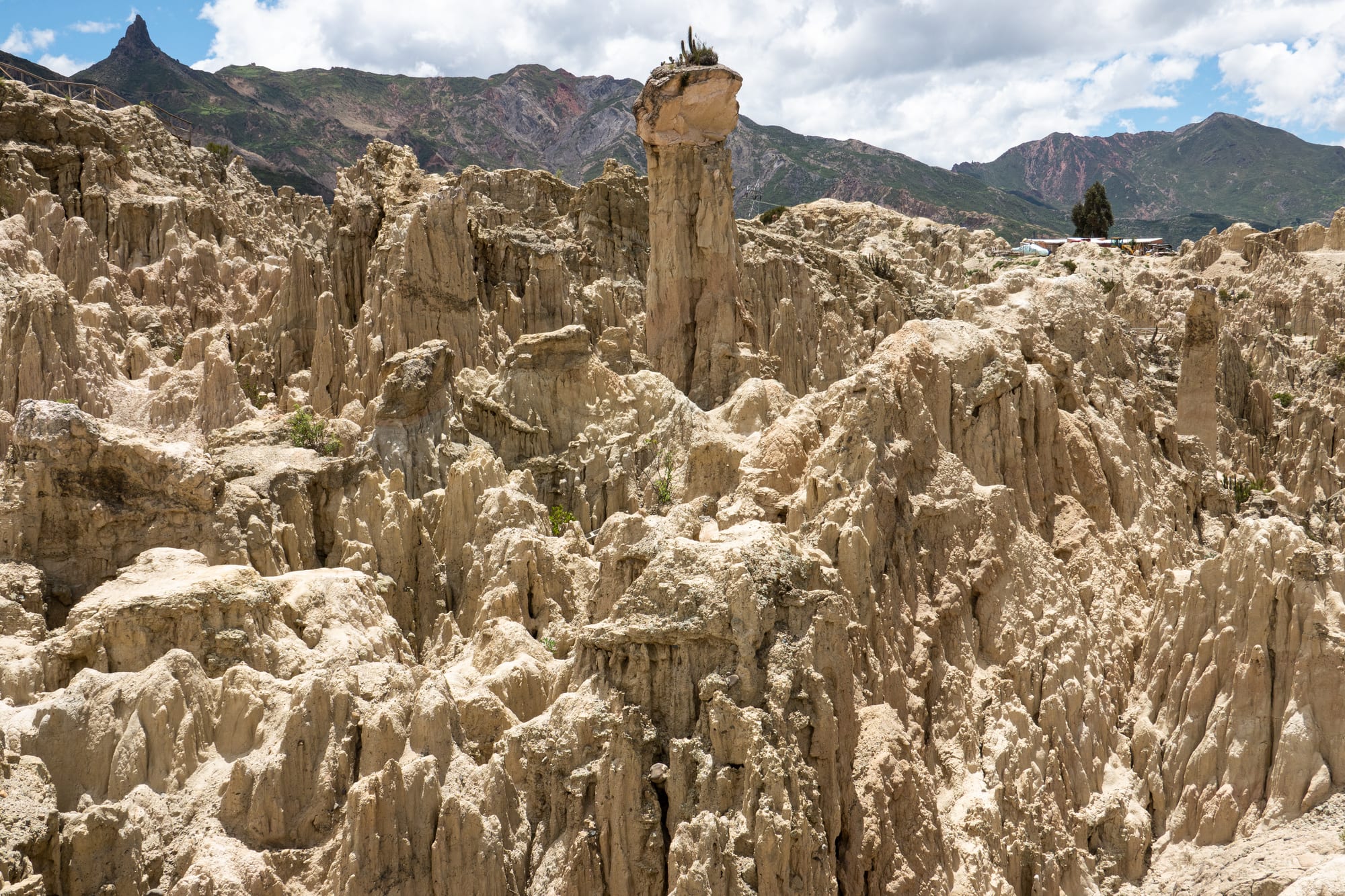 A maze of pale eroded rock spires and gullies on the edge of a city