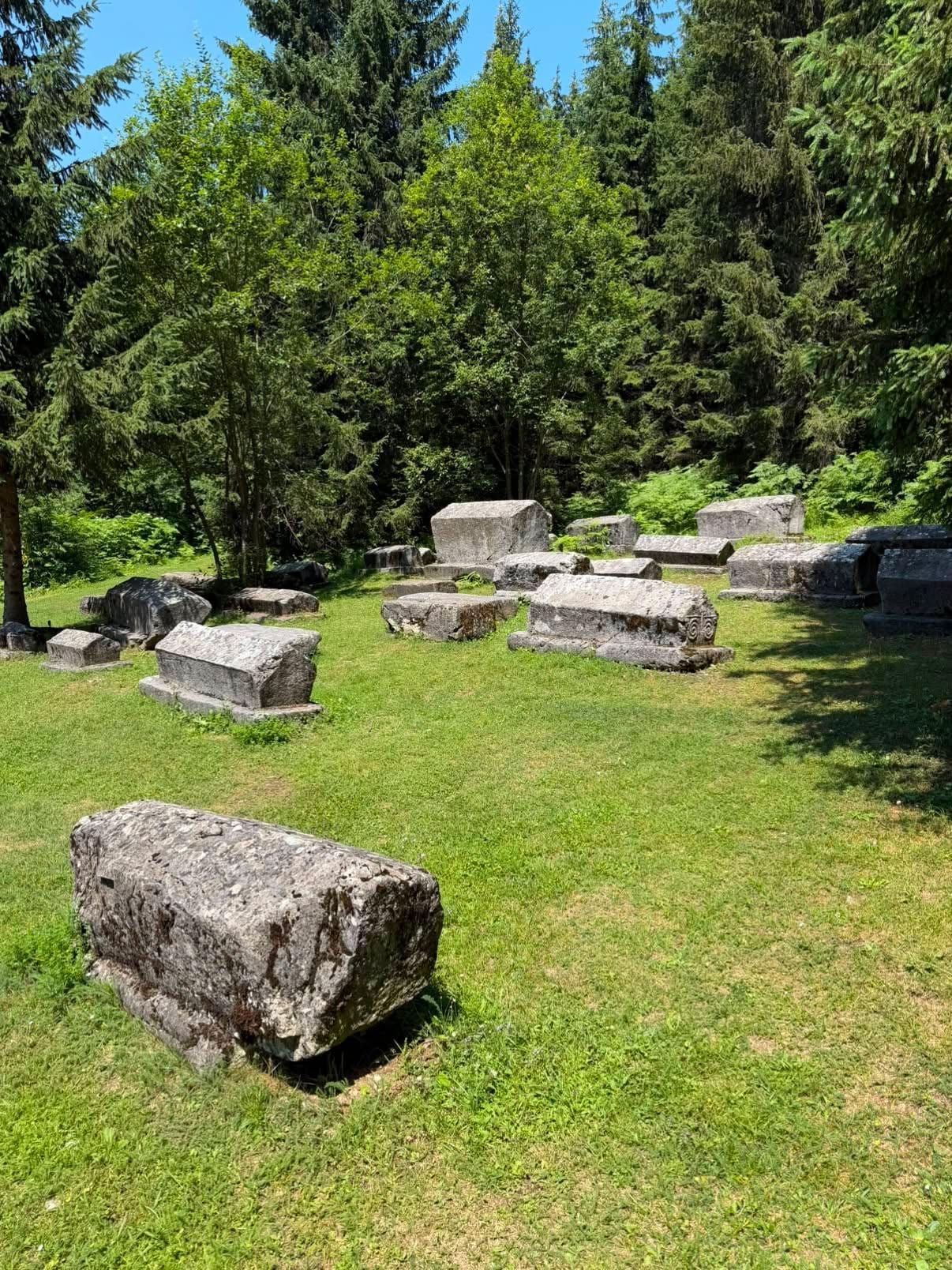 Weathered rectangular and chest-shaped stone tombstones scattered across a grassy clearing in woods