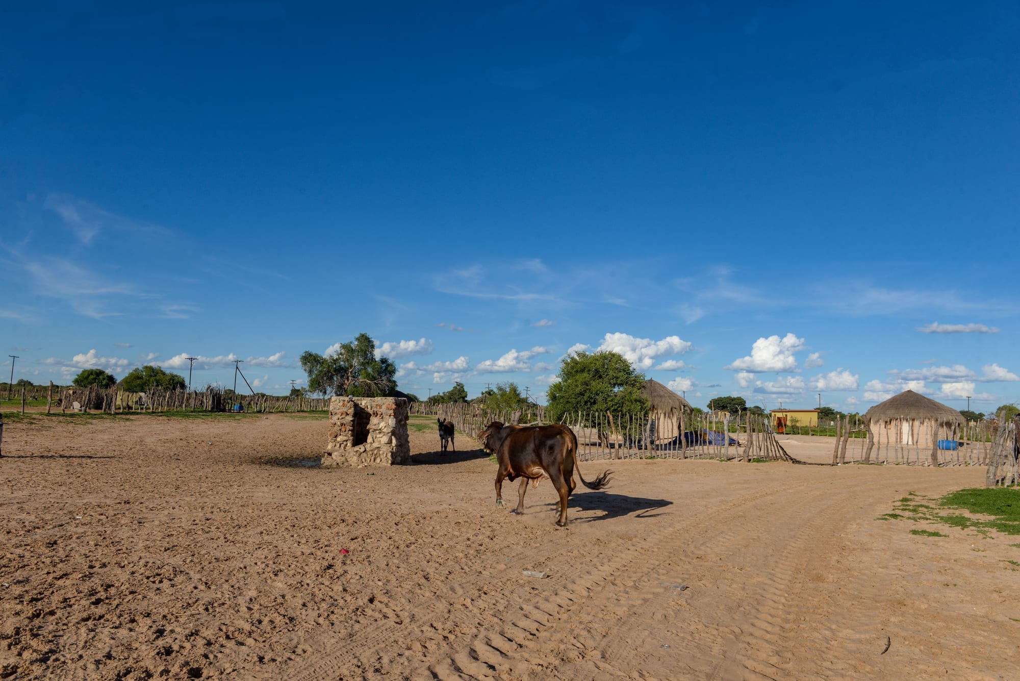 A cow and donkey standing on a sandy track past a stone gatepost, with thatched-roof huts and a wooden fence in a village in the background
