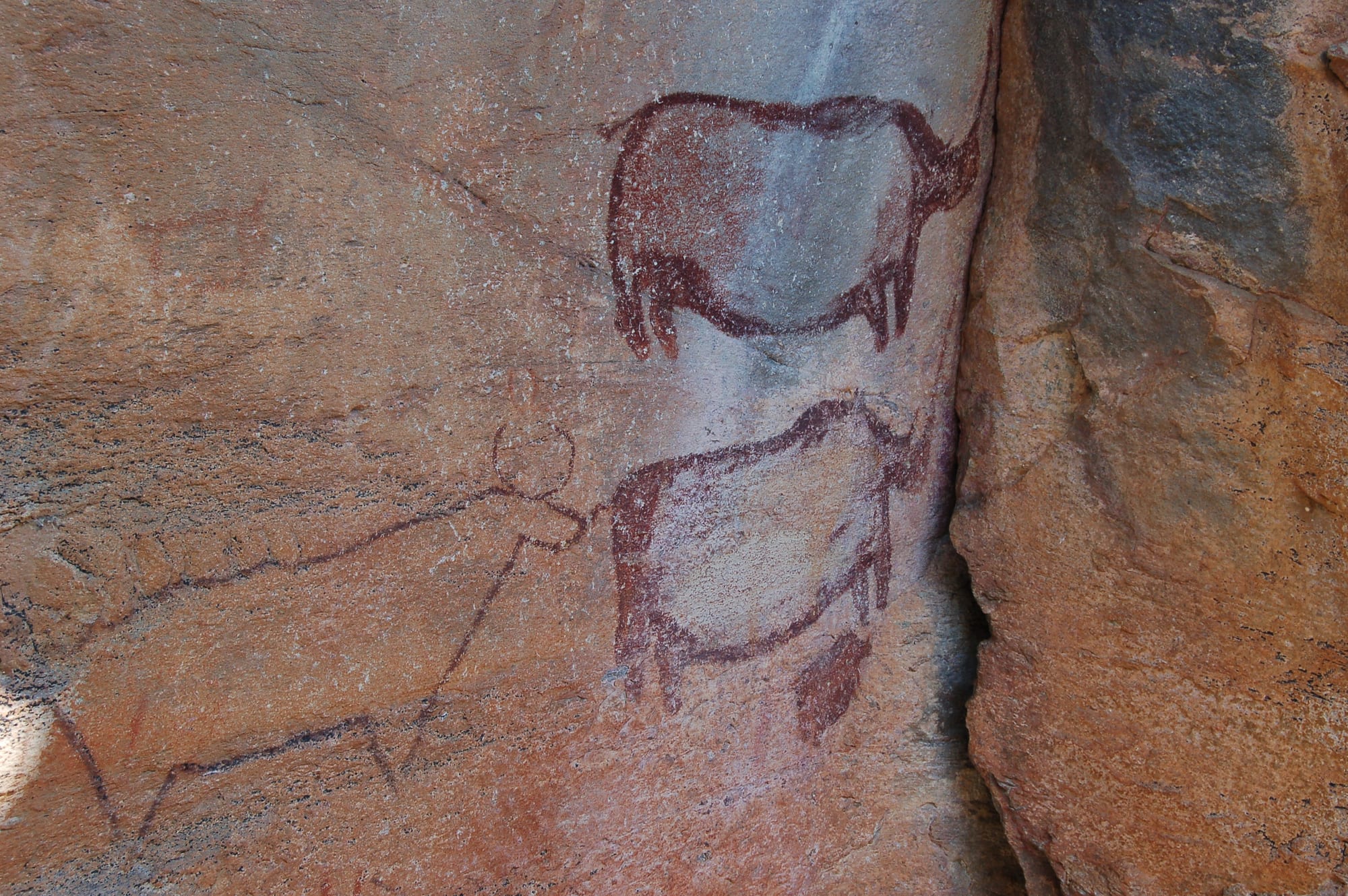 Red ochre paintings of animals on a smooth rock face at the base of a quartzite hill