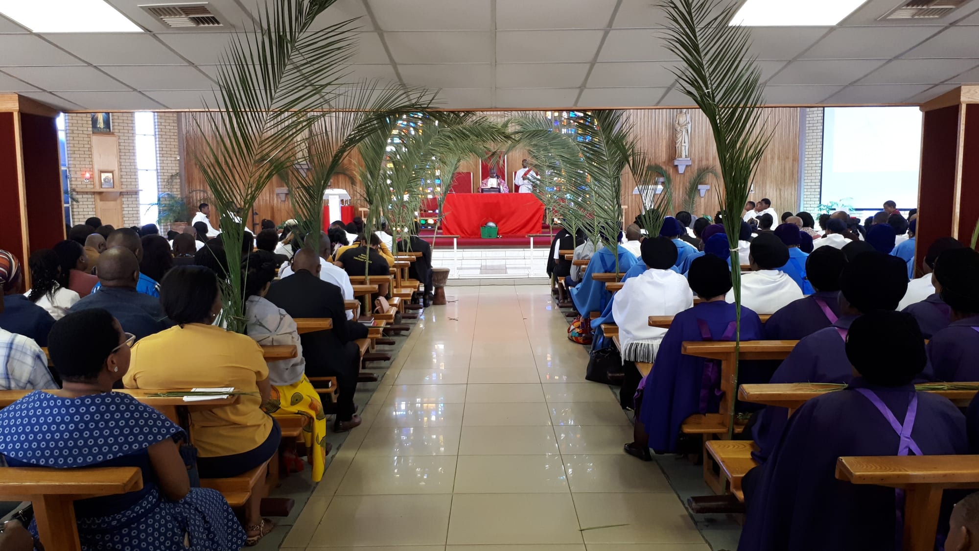 The interior of a church seen from the back, with a congregation seated on wooden pews, palm fronds standing along the central aisle and a red altar in the distance