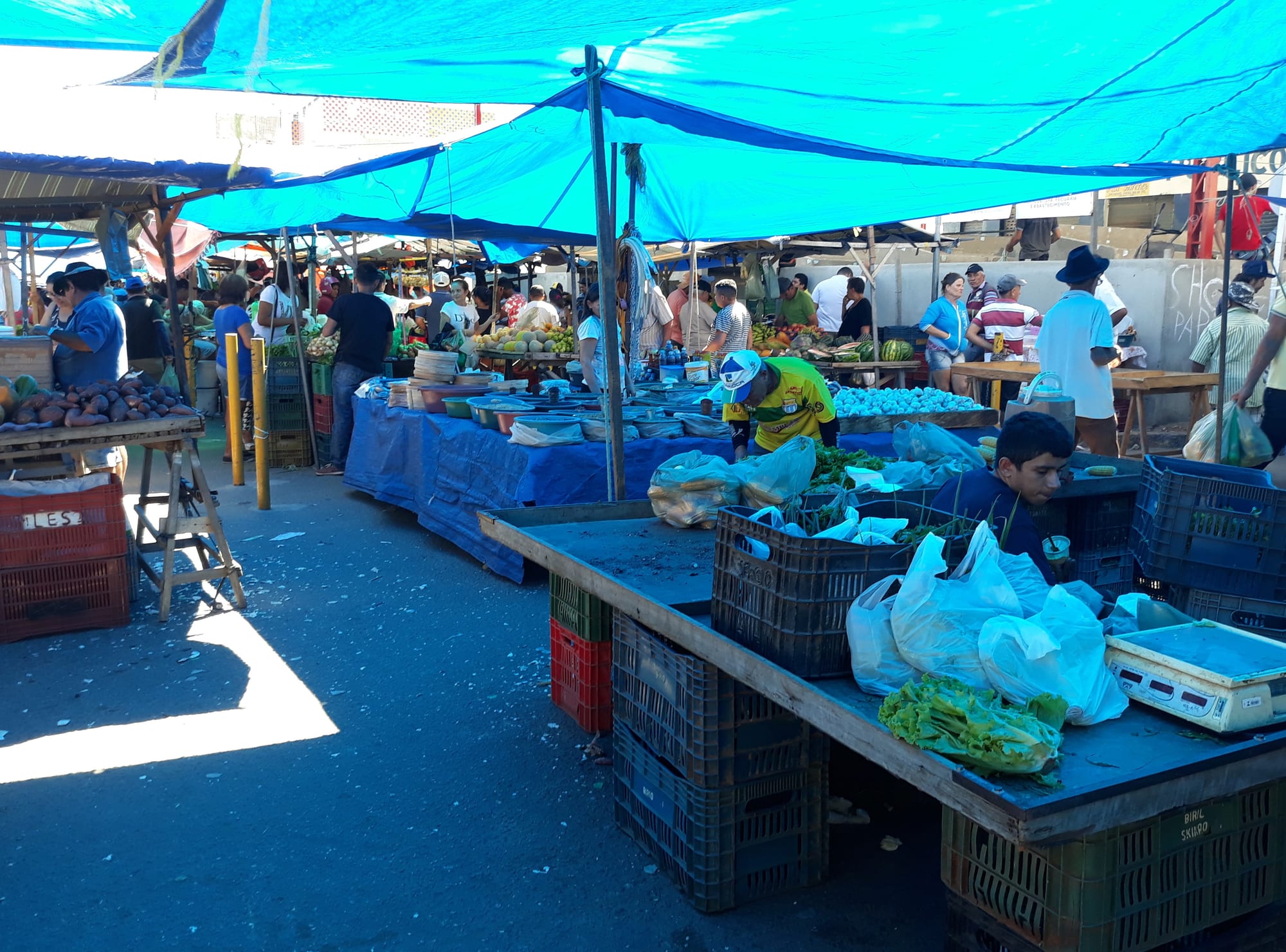 A crowded open-air street market with blue tarpaulin awnings, vendors and shoppers around stalls of vegetables and fruit