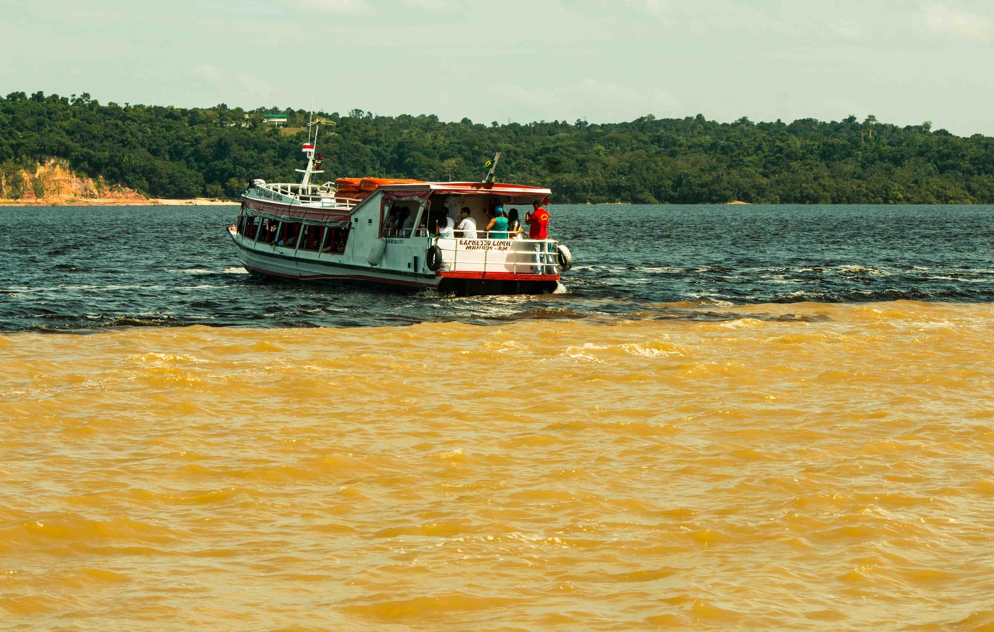 Two rivers flowing side by side without mixing — one dark brown, one sandy — with a sharp line between