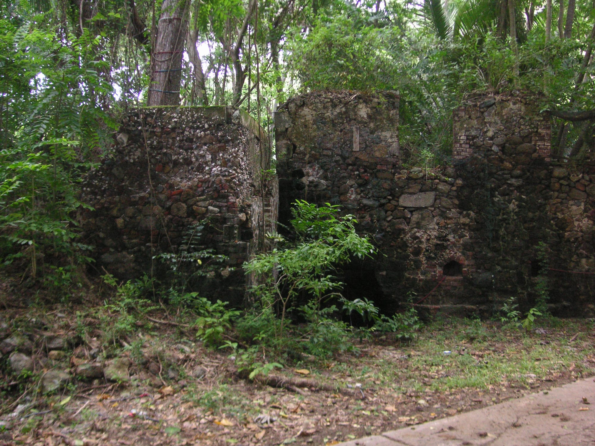 The circular stone base of a ruined windmill among dry scrub near a beach