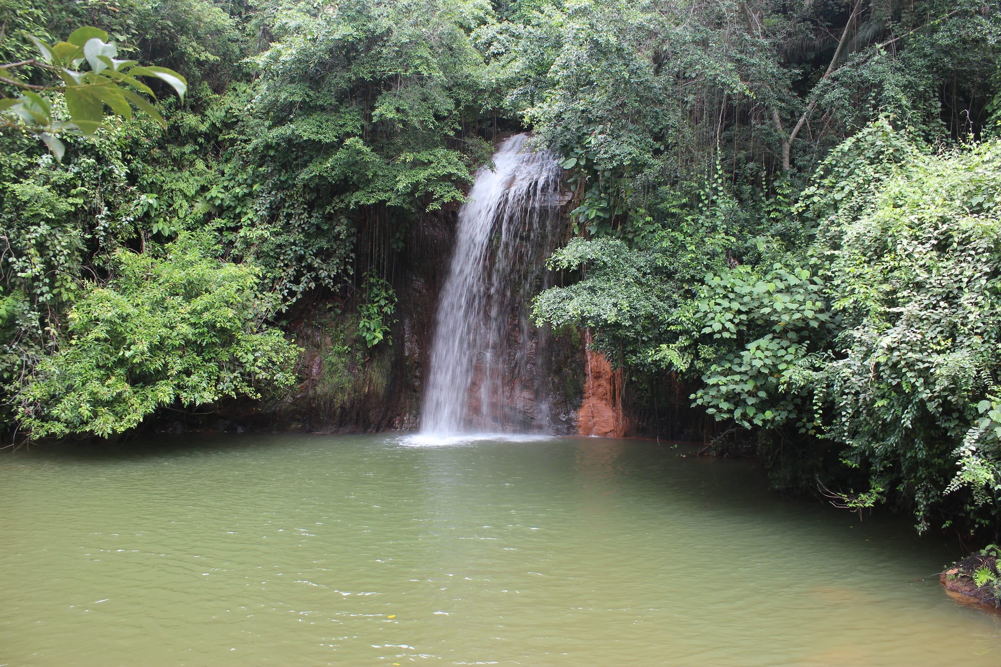 A small waterfall and pool surrounded by dense green rainforest