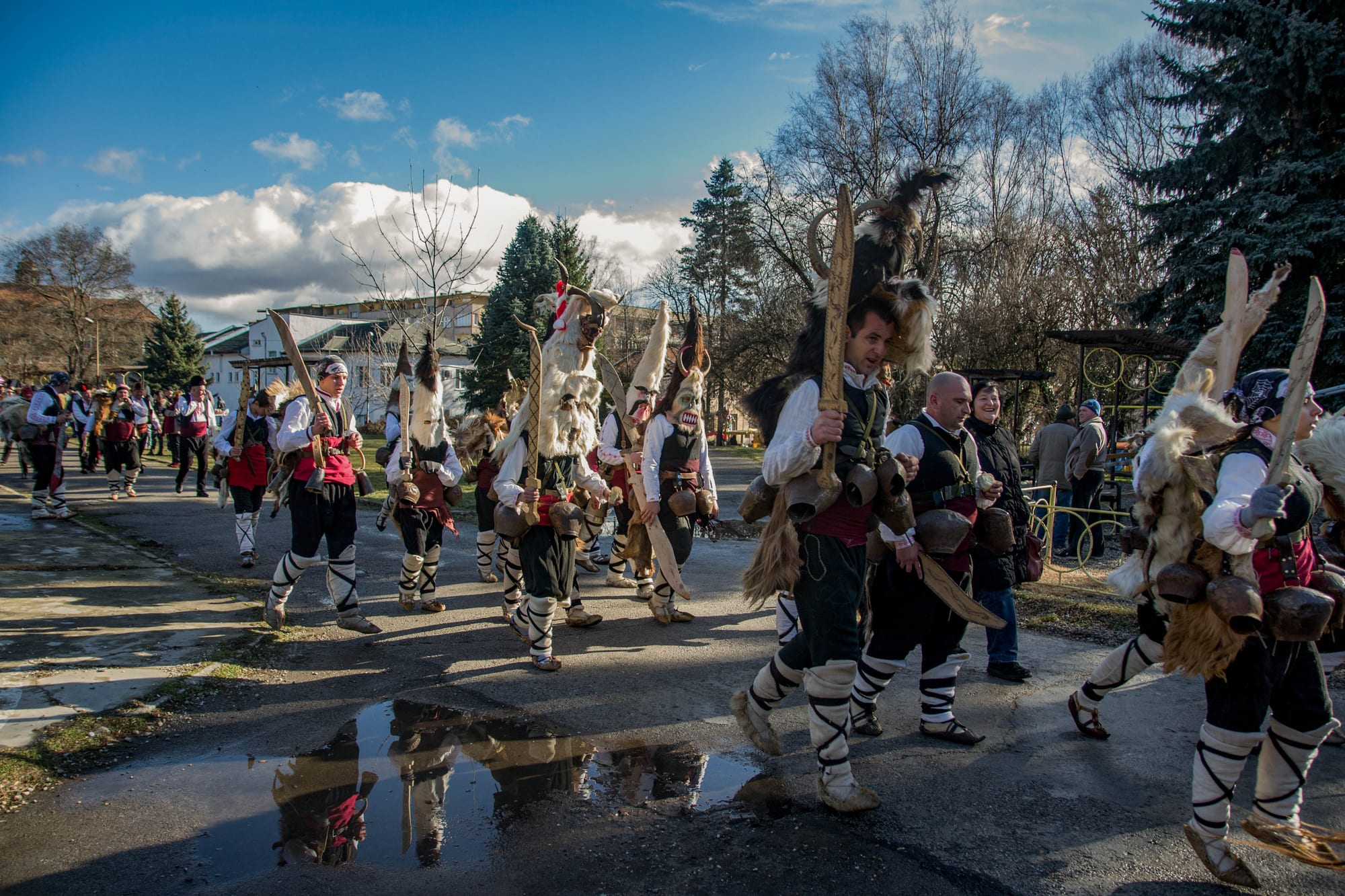 A procession of kukeri in tall horned masks trimmed with fur, white shirts and striped leg bindings, with large bells hanging at their waists and wooden sabres in their hands