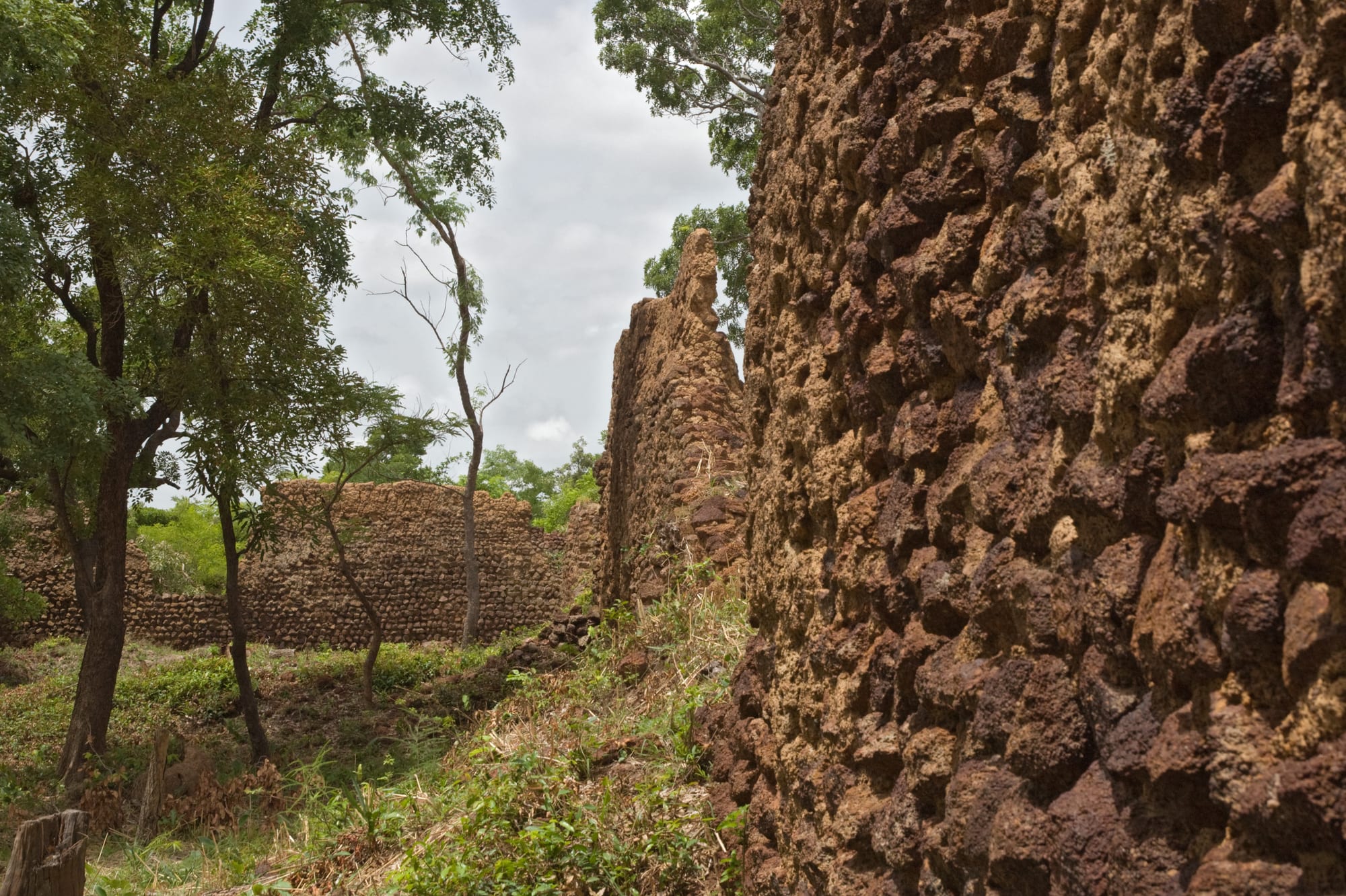 A high, weathered laterite stone wall running through dry bush