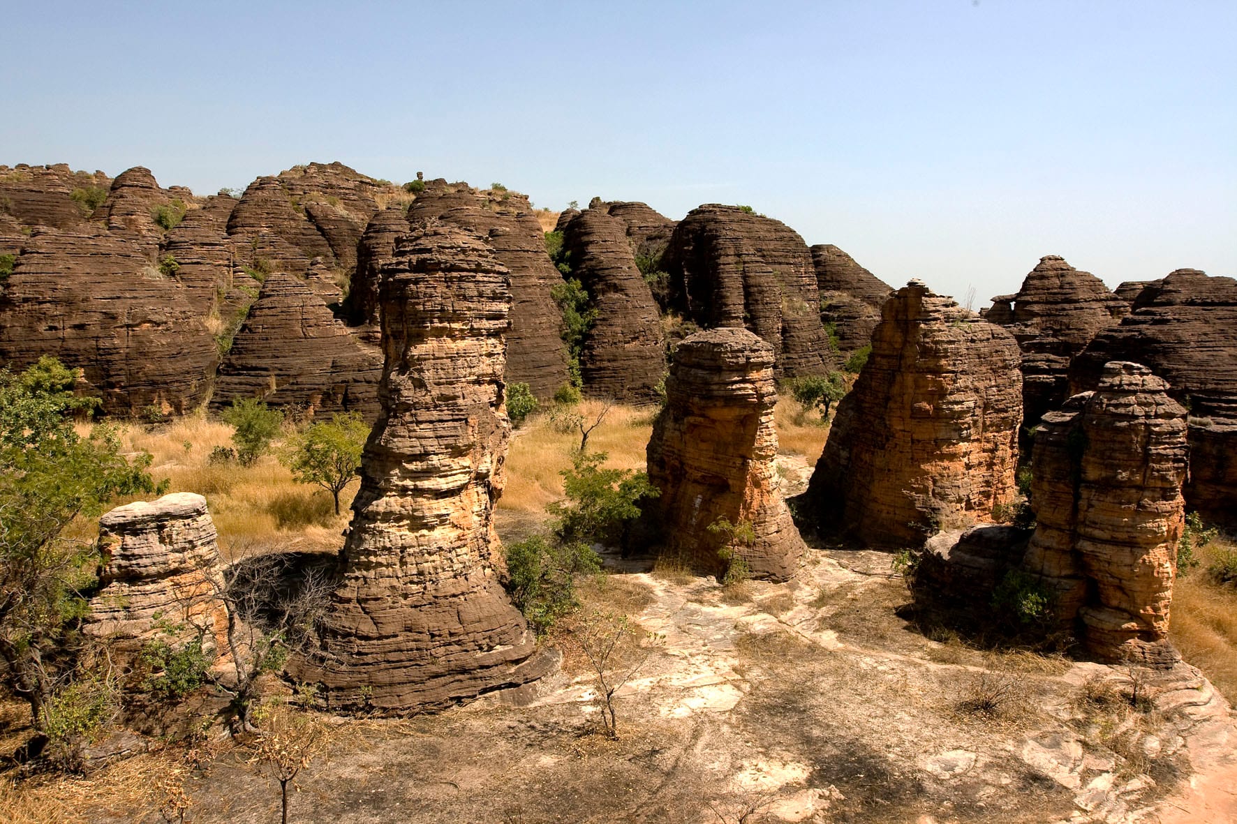 Rounded, layered sandstone domes stacked like giant beehives among dry trees