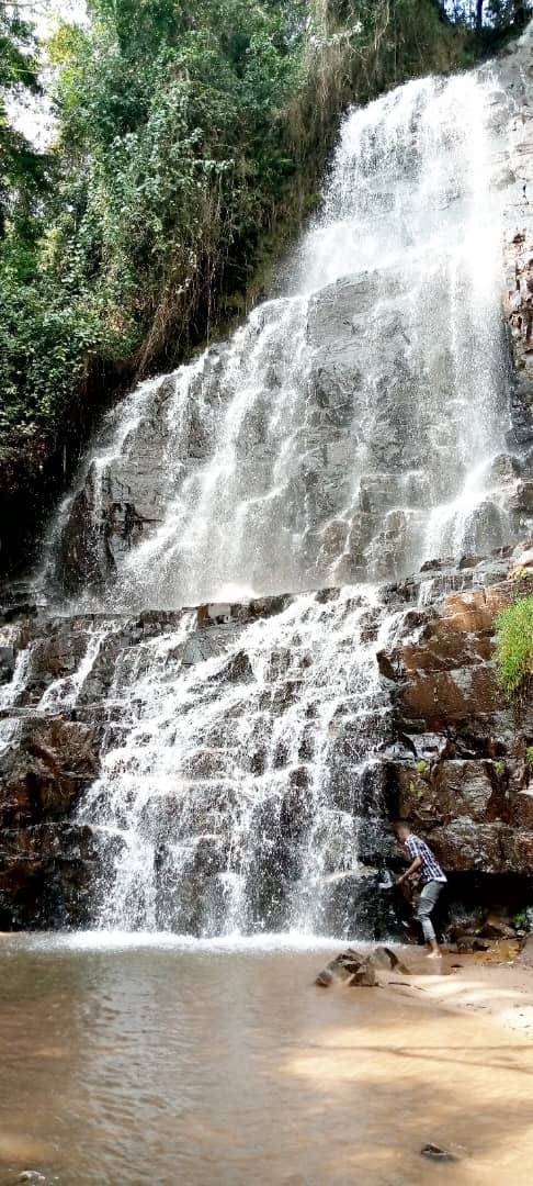 Several tall waterfalls dropping through dense green forest over dark rock