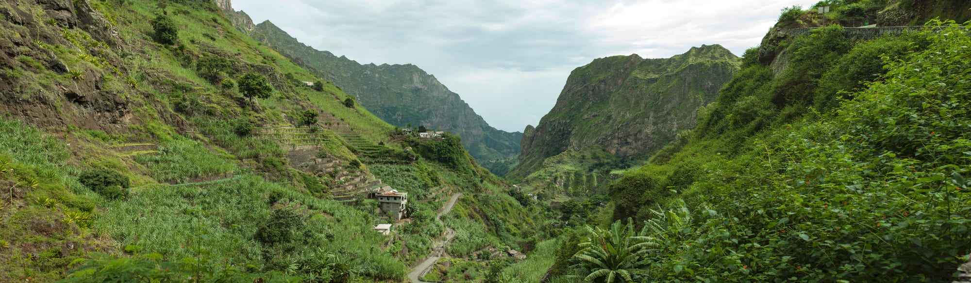 A person on a narrow cobbled path descending between stone-walled terraces of crops toward the sea