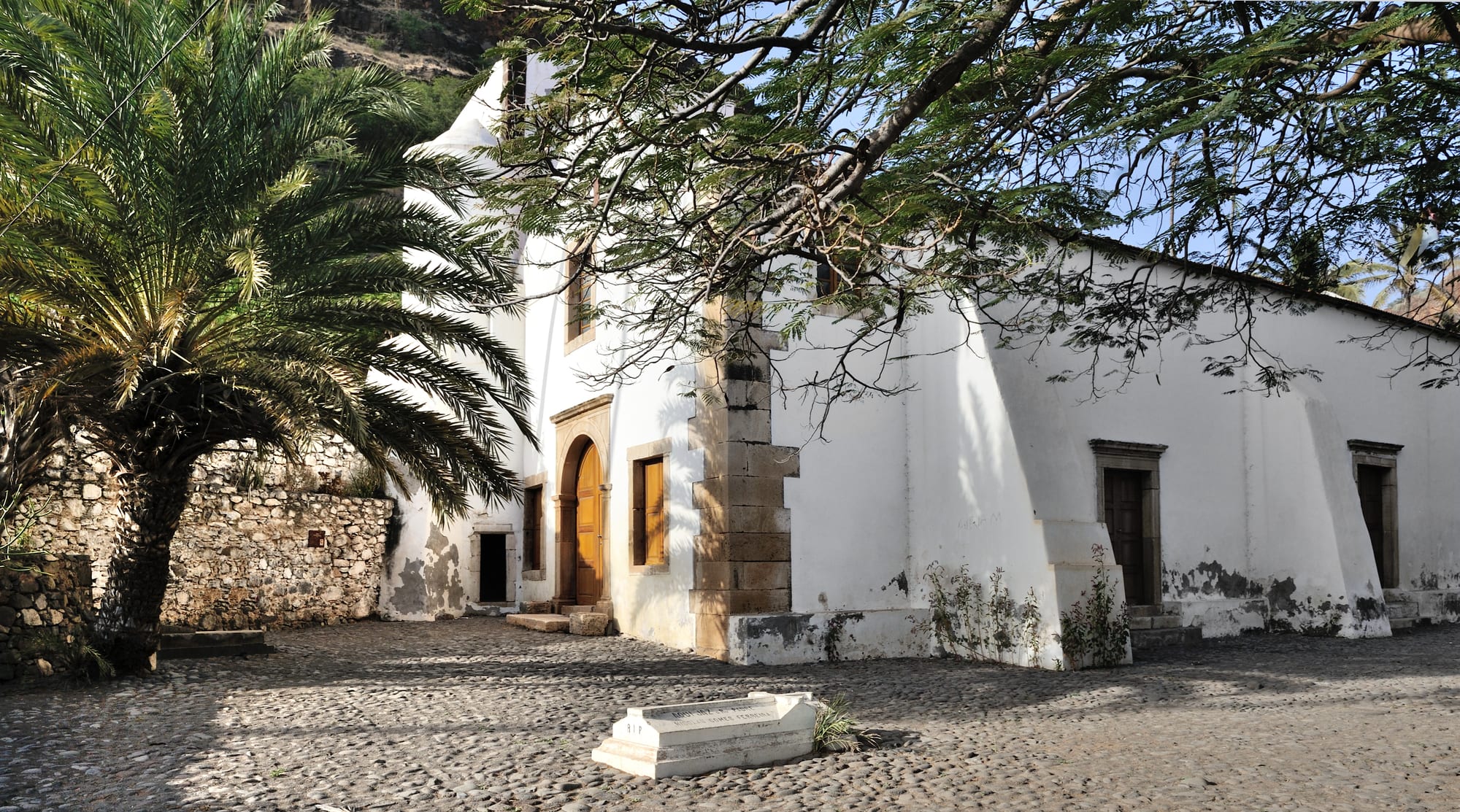 A whitewashed church with a stone-framed wooden door and sloping buttresses on a cobbled square, shaded by a palm and the branches of a large tree